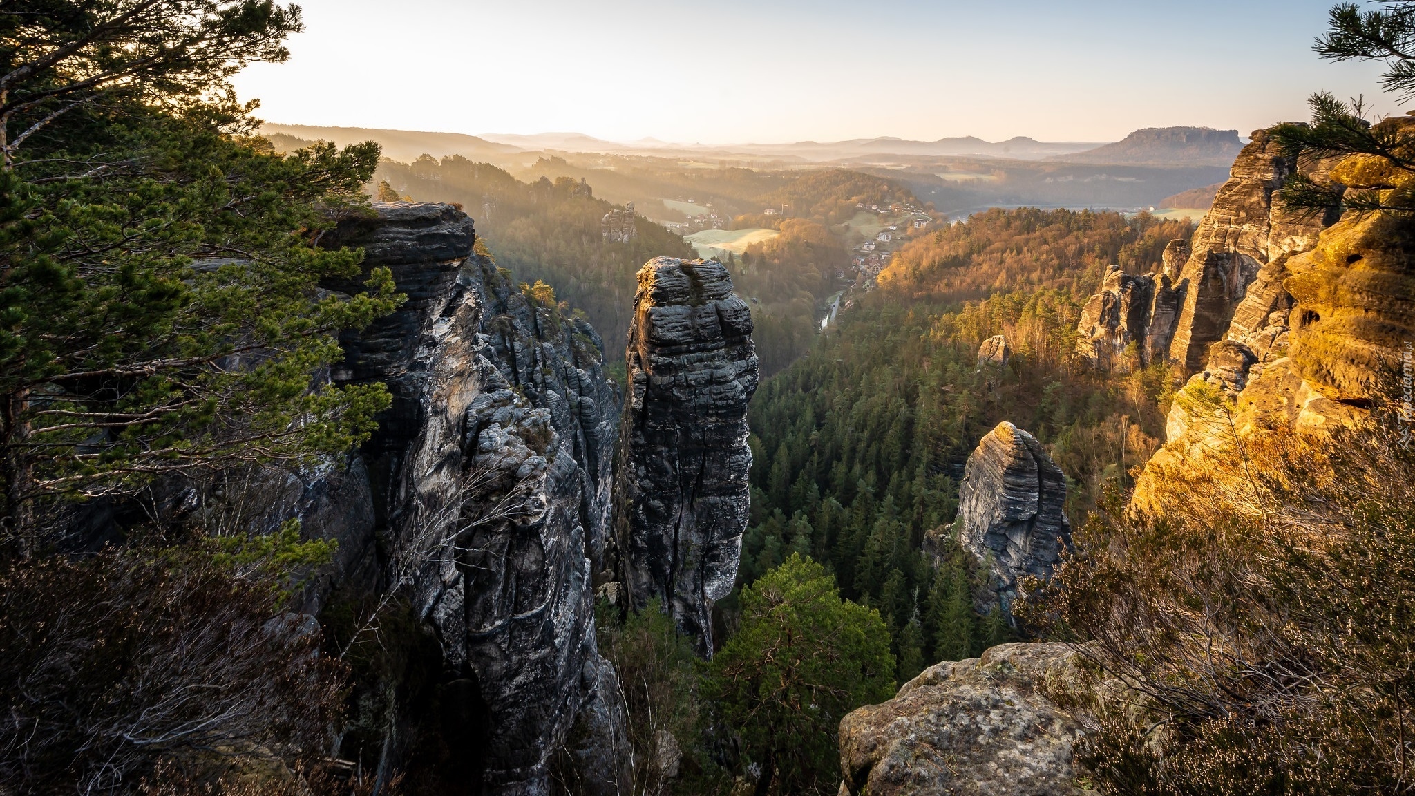 Skały, Góry Połabskie, Drzewa, Park Narodowy Saskiej Szwajcarii, Niemcy