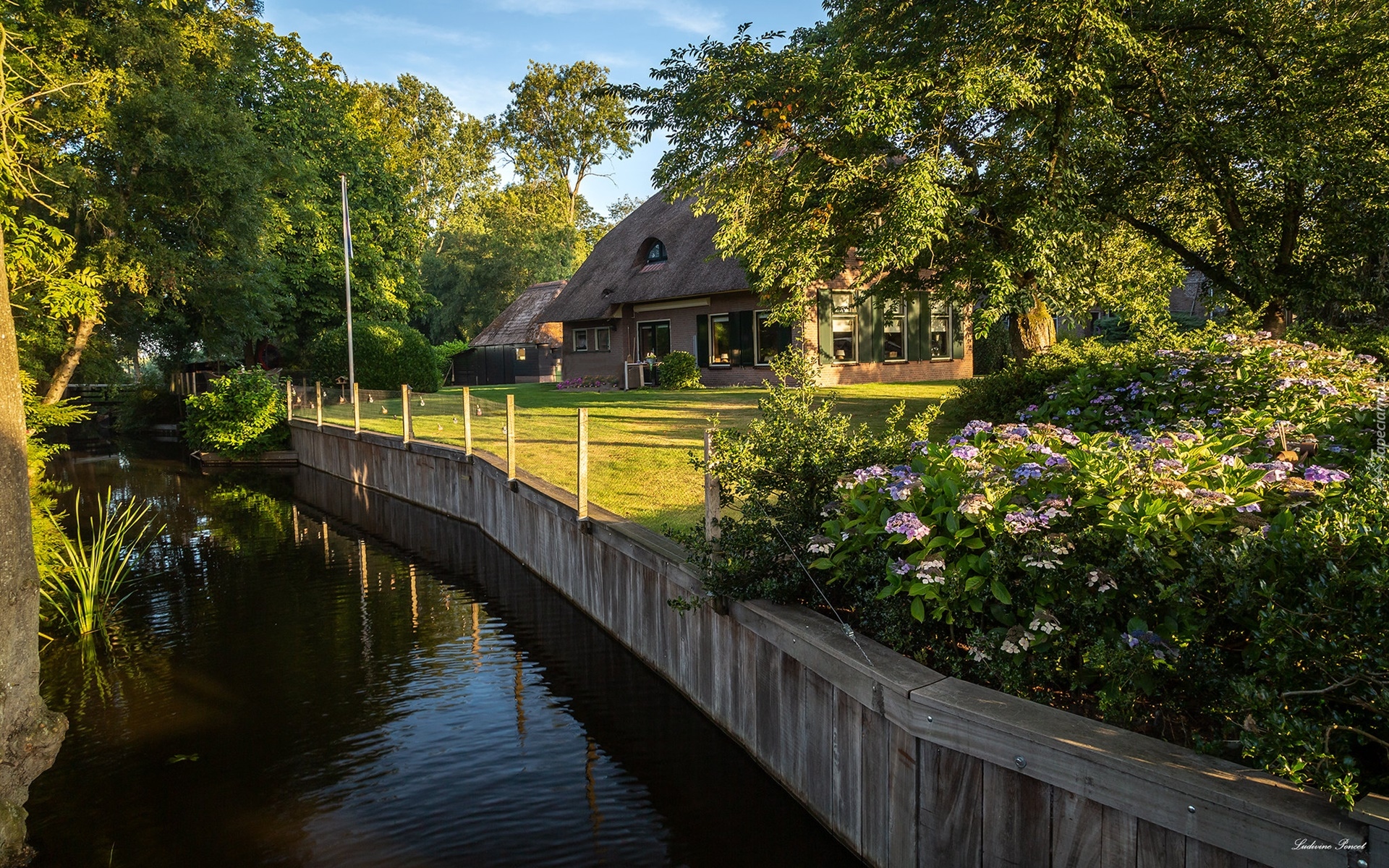 Holandia, Prowincja Overijssel, Giethoorn, Drzewa, Kwiaty, Rzeka, Dom