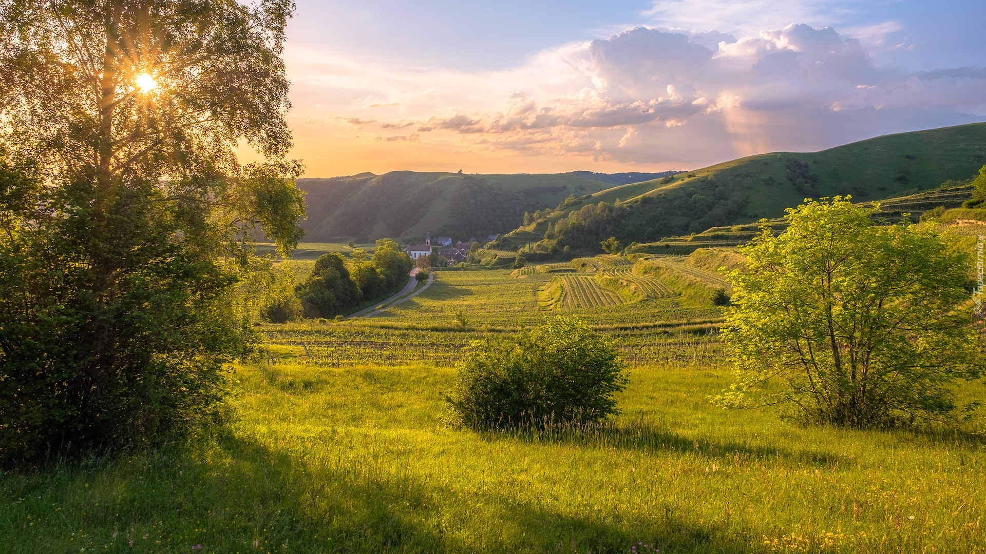 Łąki, Pola, Drzewa, Promienie słońca, Wzgórza