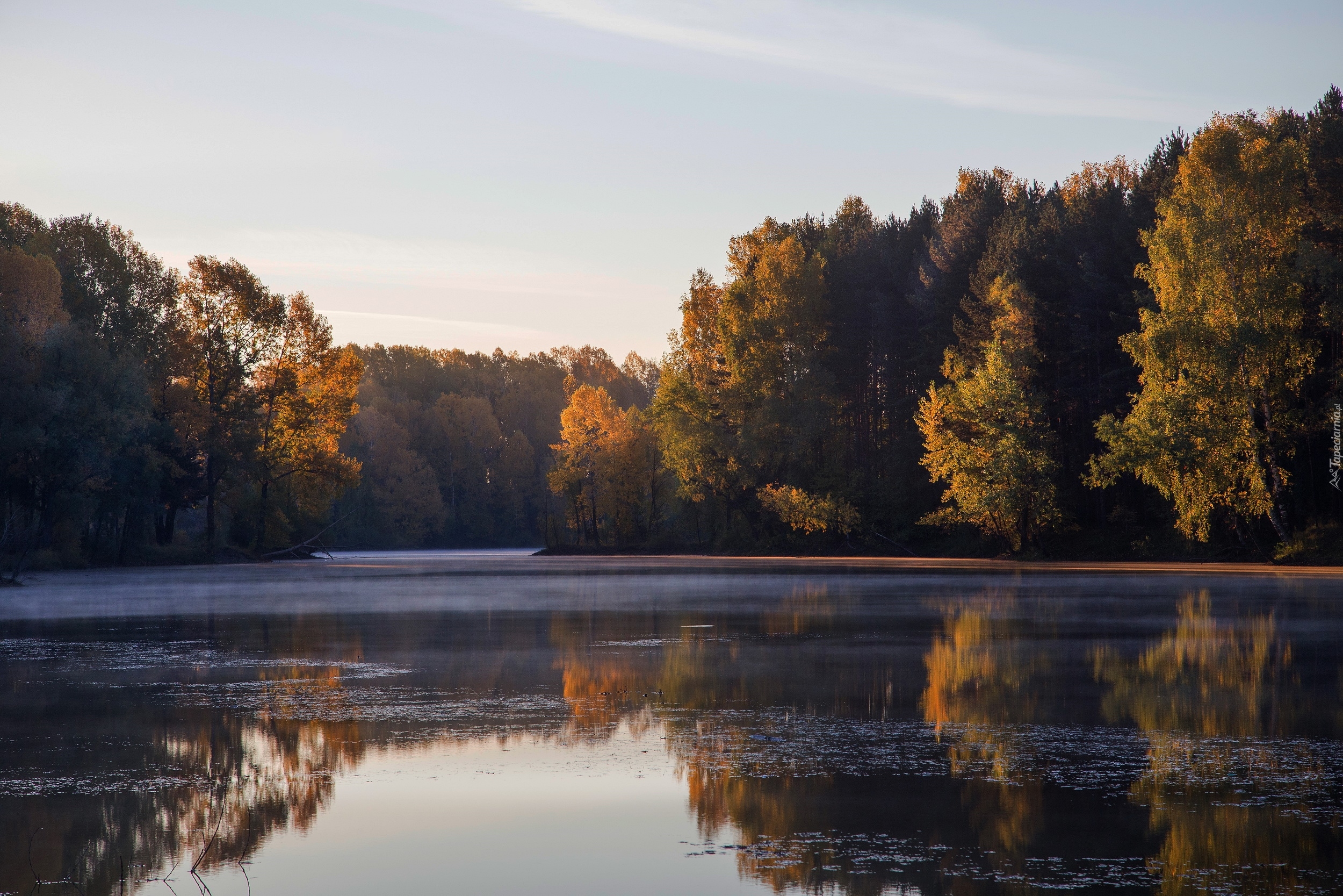 Jesień, Las, Drzewa, Jezioro