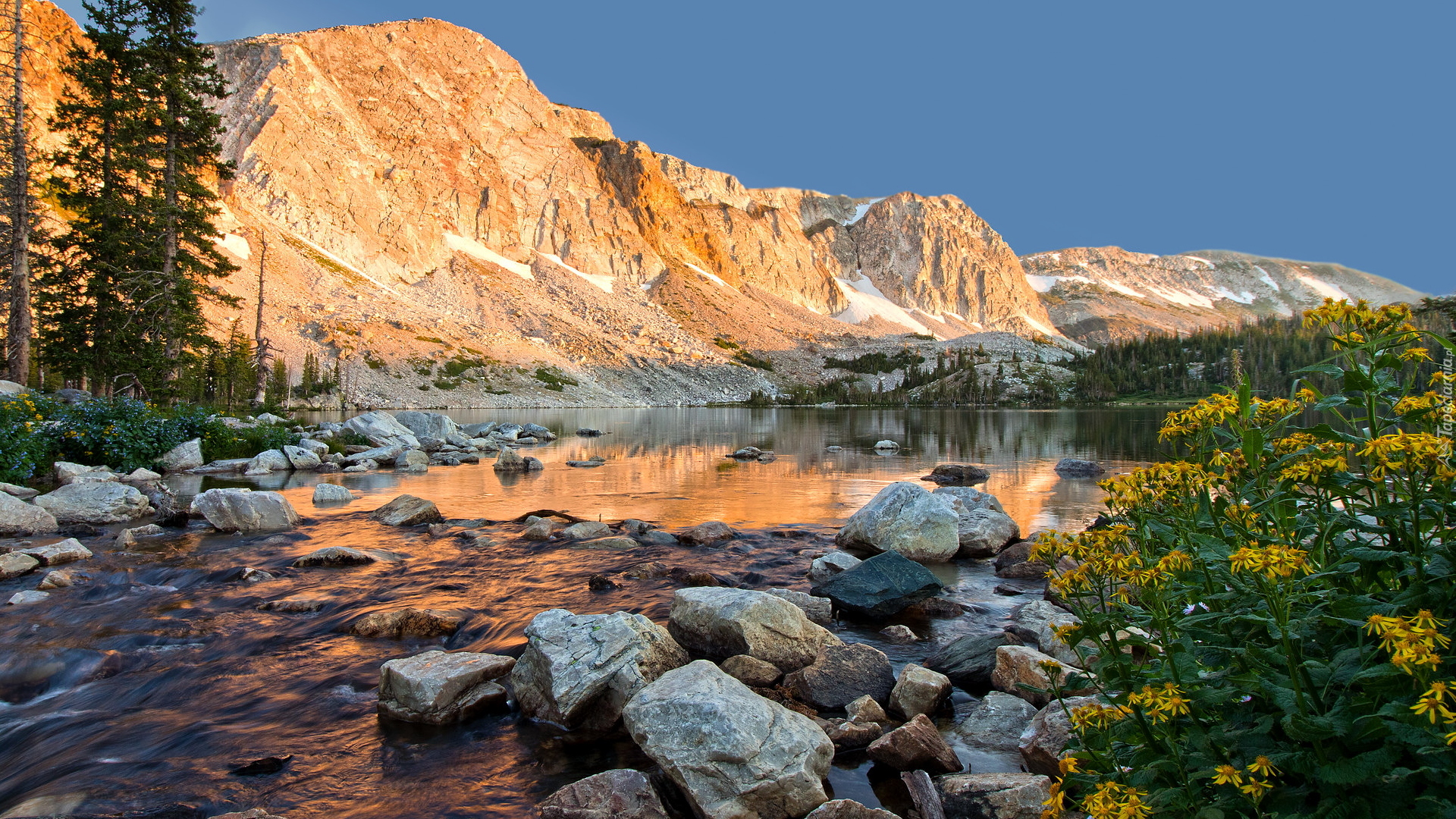 Góry, Medicine Bow Range, Drzewa, Kamienie, Kwiaty, Jezioro, Lake Marie, Wyoming, Stany Zjednoczone