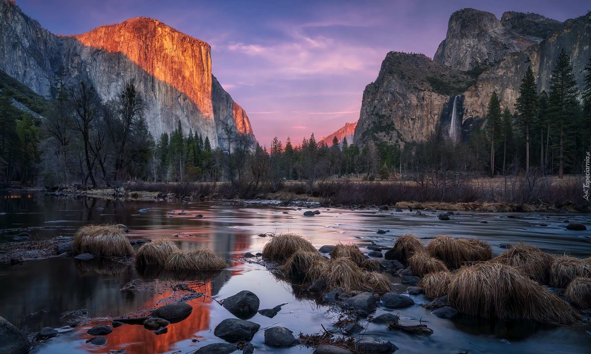 Stany Zjednoczone, Stan Kalifornia, Park Narodowy Yosemite, Rzeka Merced, Drzewa, Góry Sierra Nevada