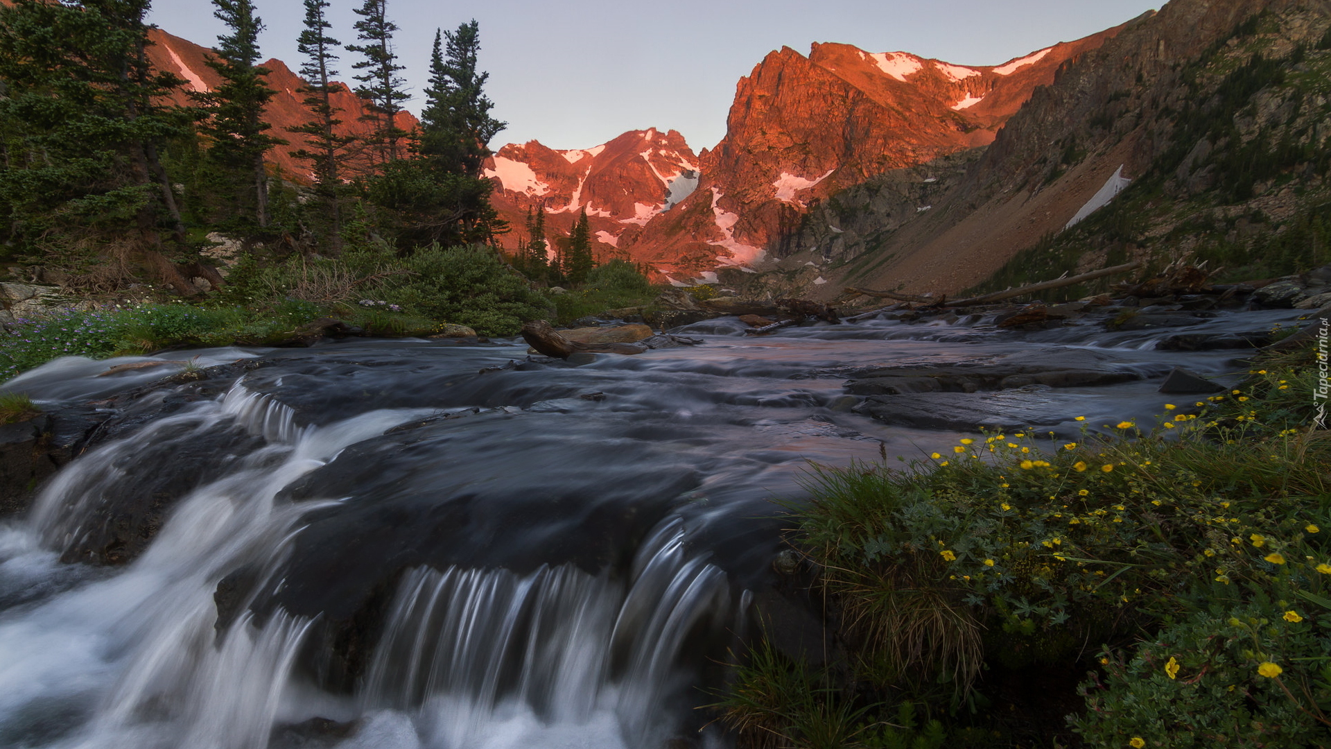 Góry Skaliste, Rzeka, Drzewa, Teren Indian Peaks Wilderness, Park Narodowy Gór Skalistych, Kolorado, Stany Zjednoczone