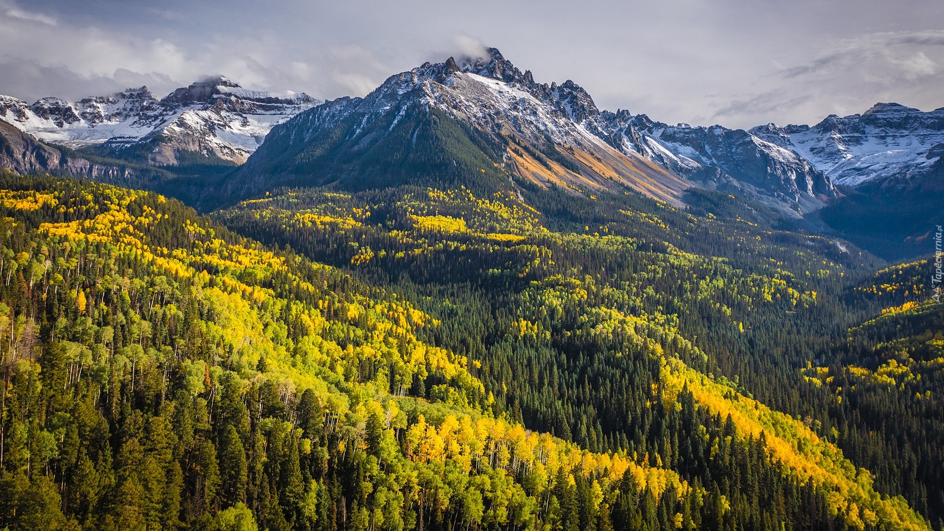 Góry Skaliste, Góra, Mount Sneffels, Jesień, Lasy, Drzewa, Kolorado, Stany Zjednoczone