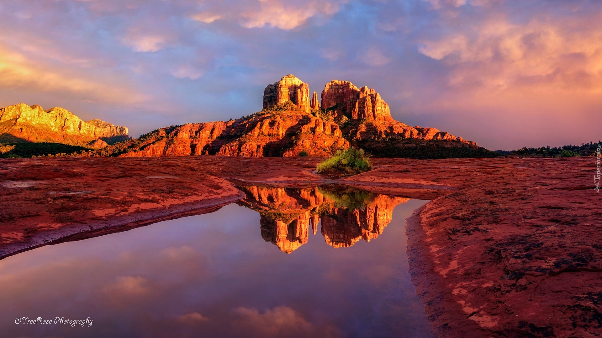 Skały, Cathedral Rock, Kałuża, Sedona, Arizona, Stany Zjednoczone