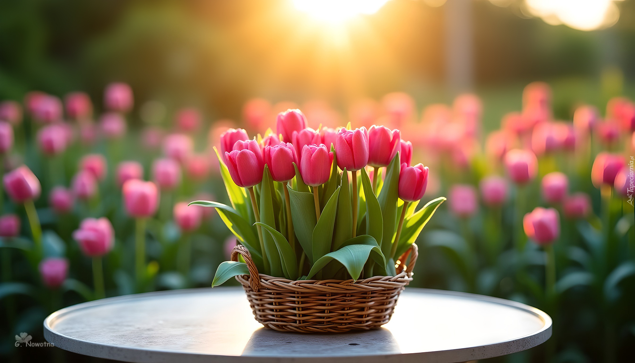 Tulipany, Koszyk, Stolik, Grafika