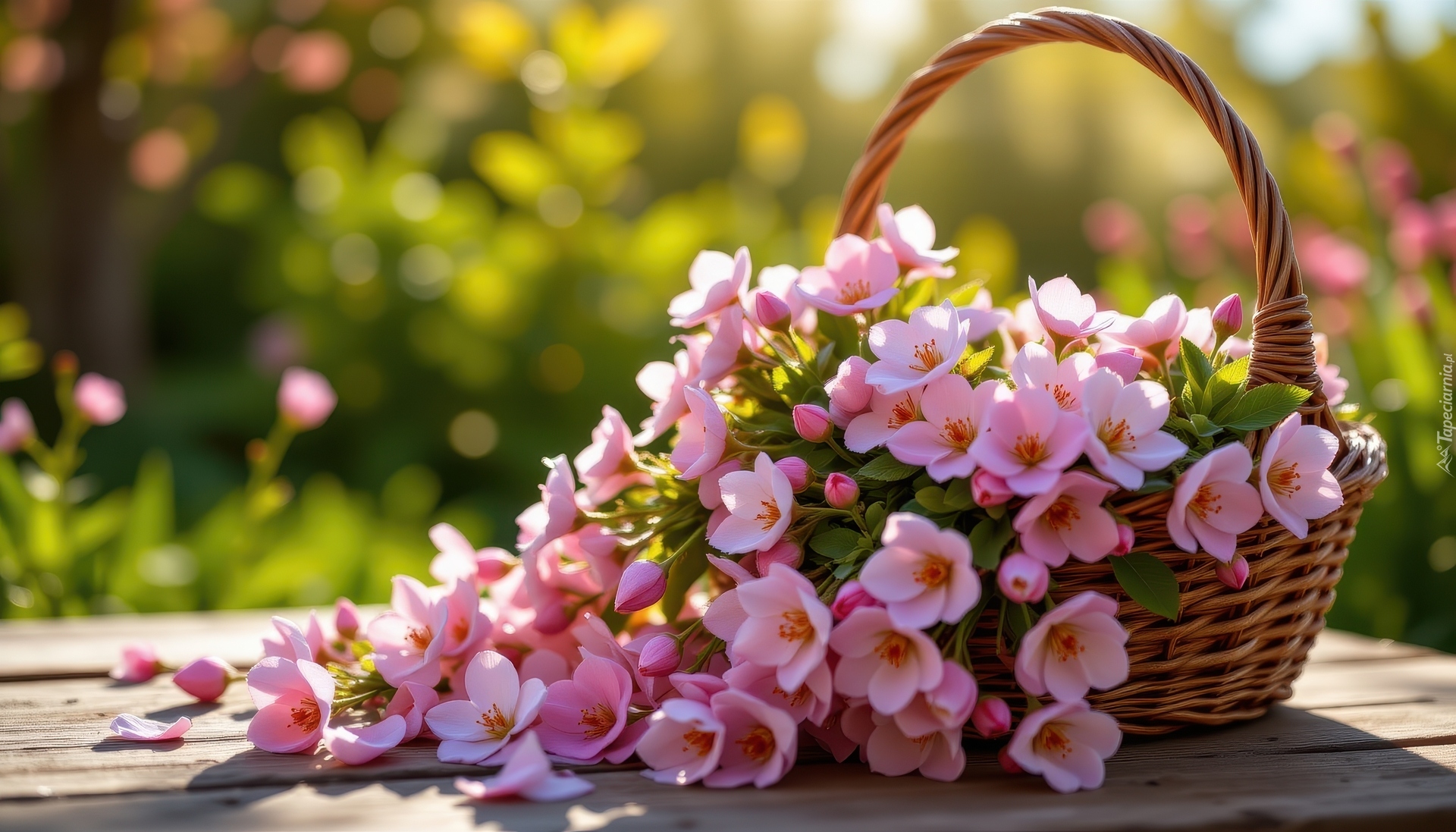 Różowe, Drobne, Kwiaty, Wiklinowy, Koszyk, Deski
