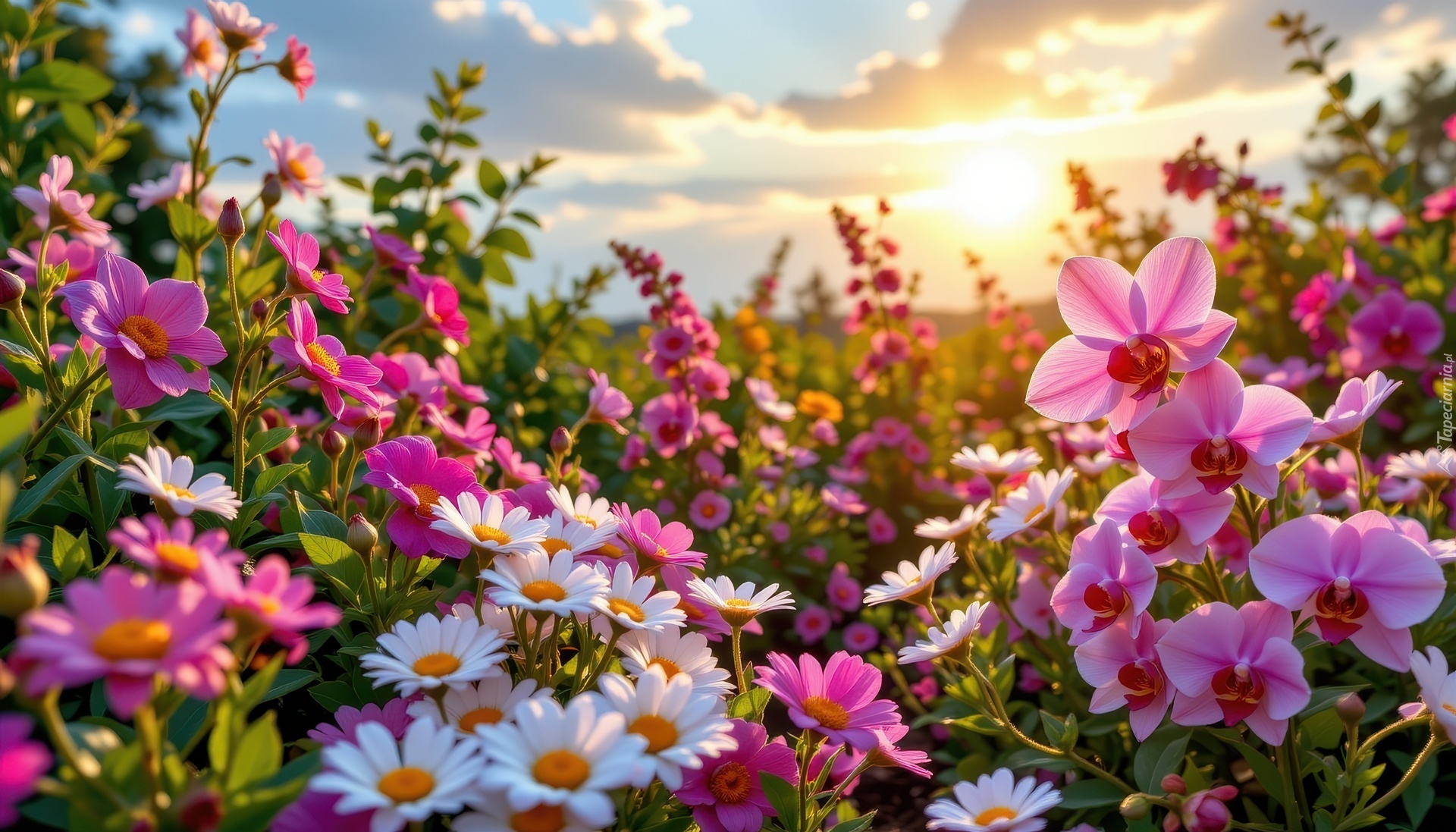 Kwiaty, Niebo, Grafika AI