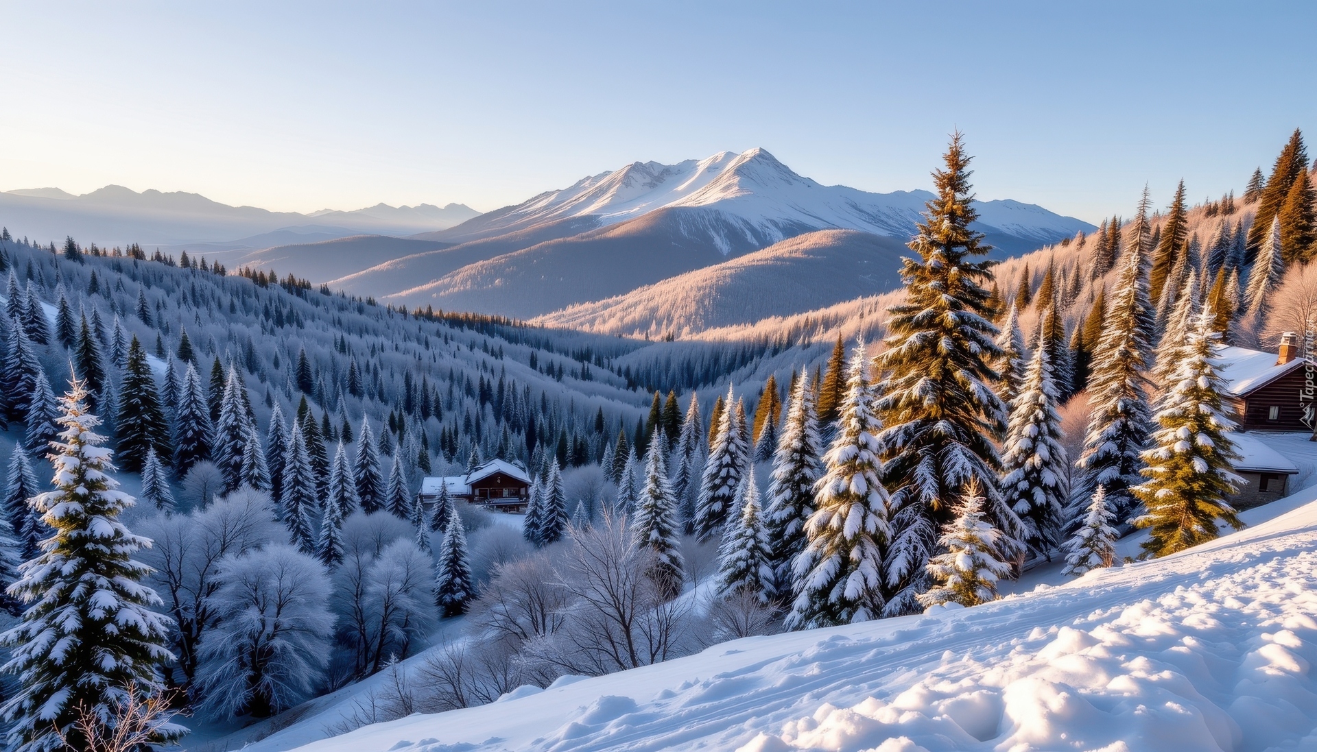 Zima, Las, Ośnieżone, Drzewa, Domy, Śnieg, Góry