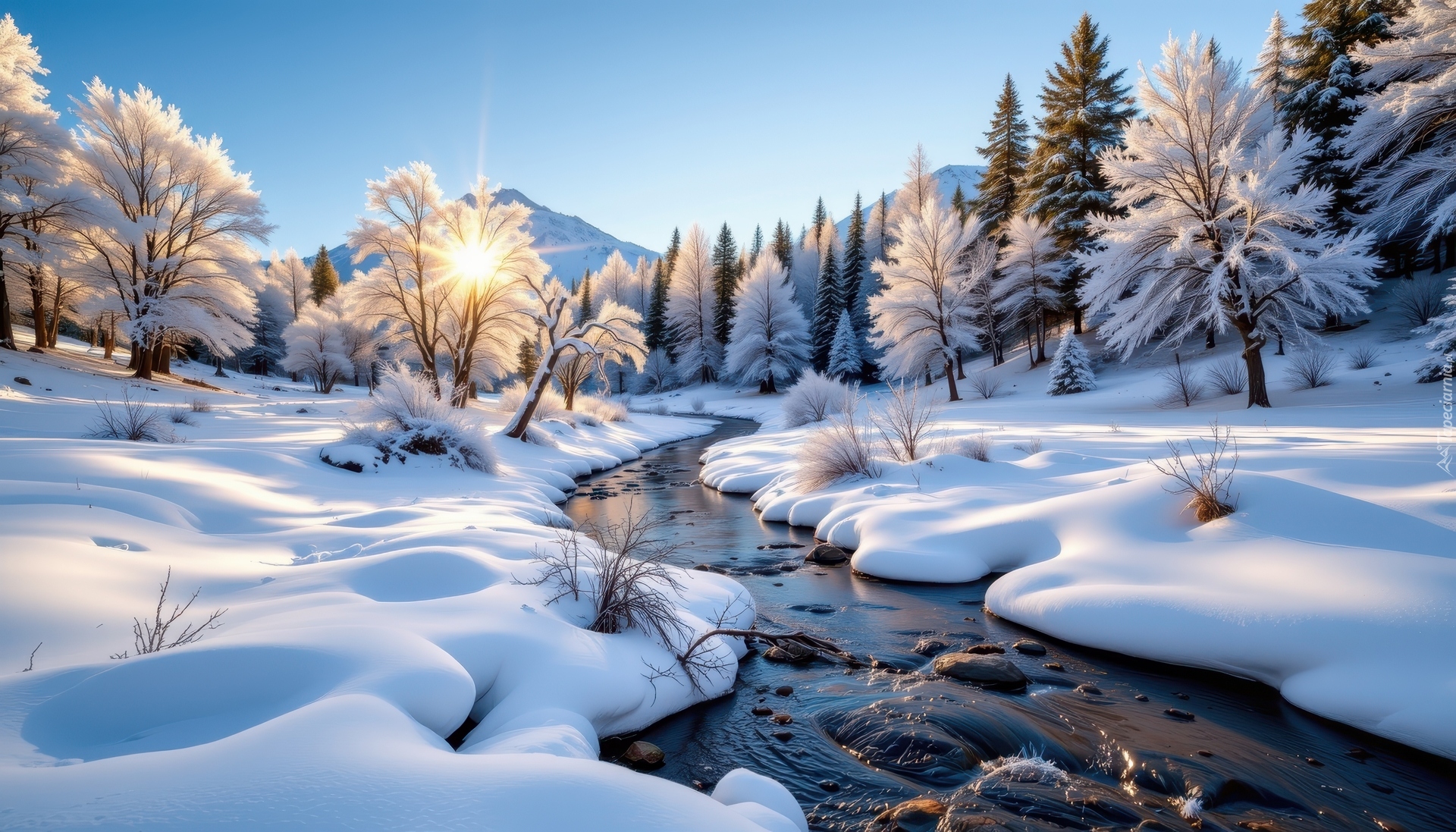 Zima, Strumień, Śnieg, Las, Ośnieżone, Drzewa, Wschód słońca