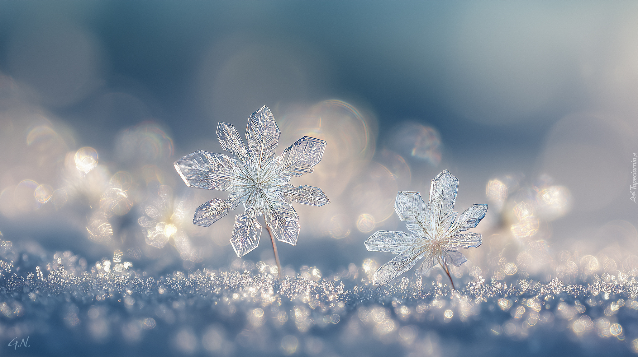 Śnieżynki, Śnieg, Zima, Grafika AI