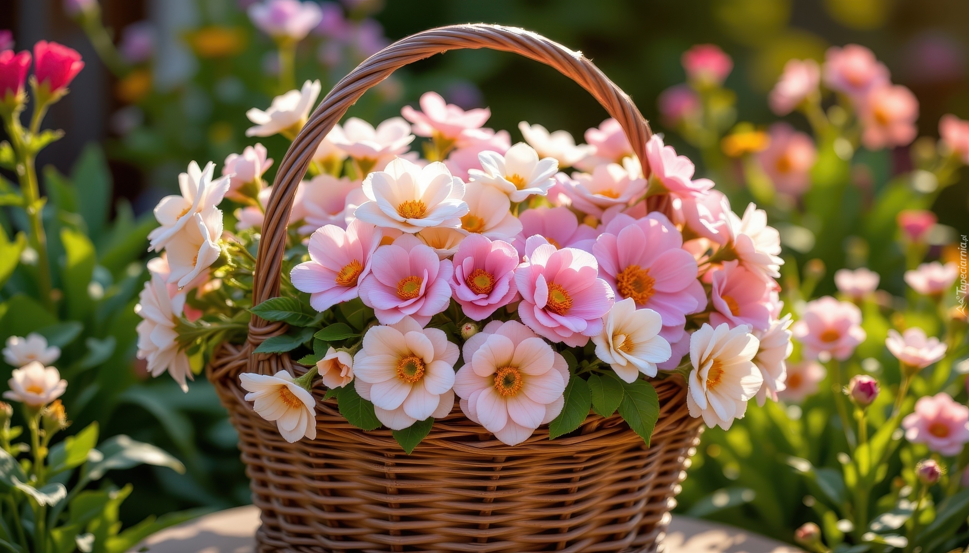 Kwiaty, Różowe, Kosz, Ogród