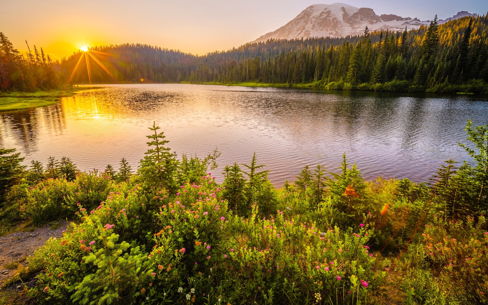 Promienie słońca, Stratowulkan Mount Rainier, Jezioro, Łąka, Kwiaty, Drzewa, Park Narodowy Mount Rainier, Waszyngton, Stany Zjednoczone