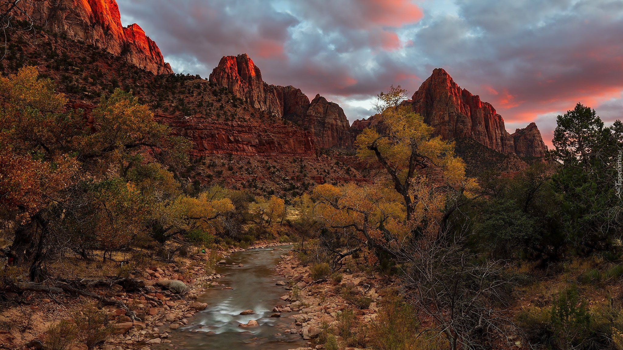 Góry, Czerwone, Szczyty, Rzeka, Virgin River, Kamienie, Drzewa, Park Narodowy Zion, Utah, Stany Zjednoczone