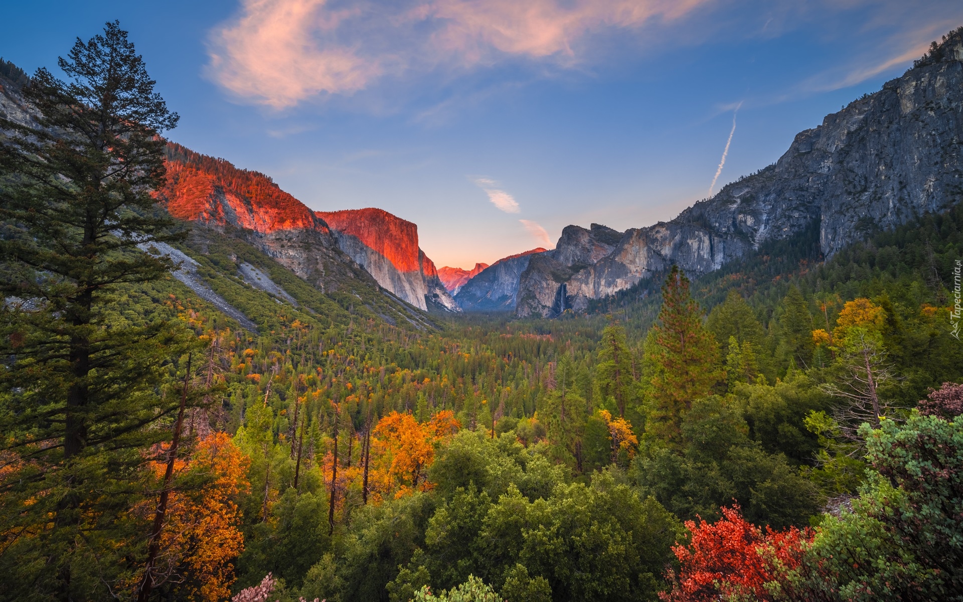 Stany Zjednoczone, Kalifornia, Park Narodowy Yosemite, Góry, Yosemite Valley, Dolina, Jesień, Drzewa, Las