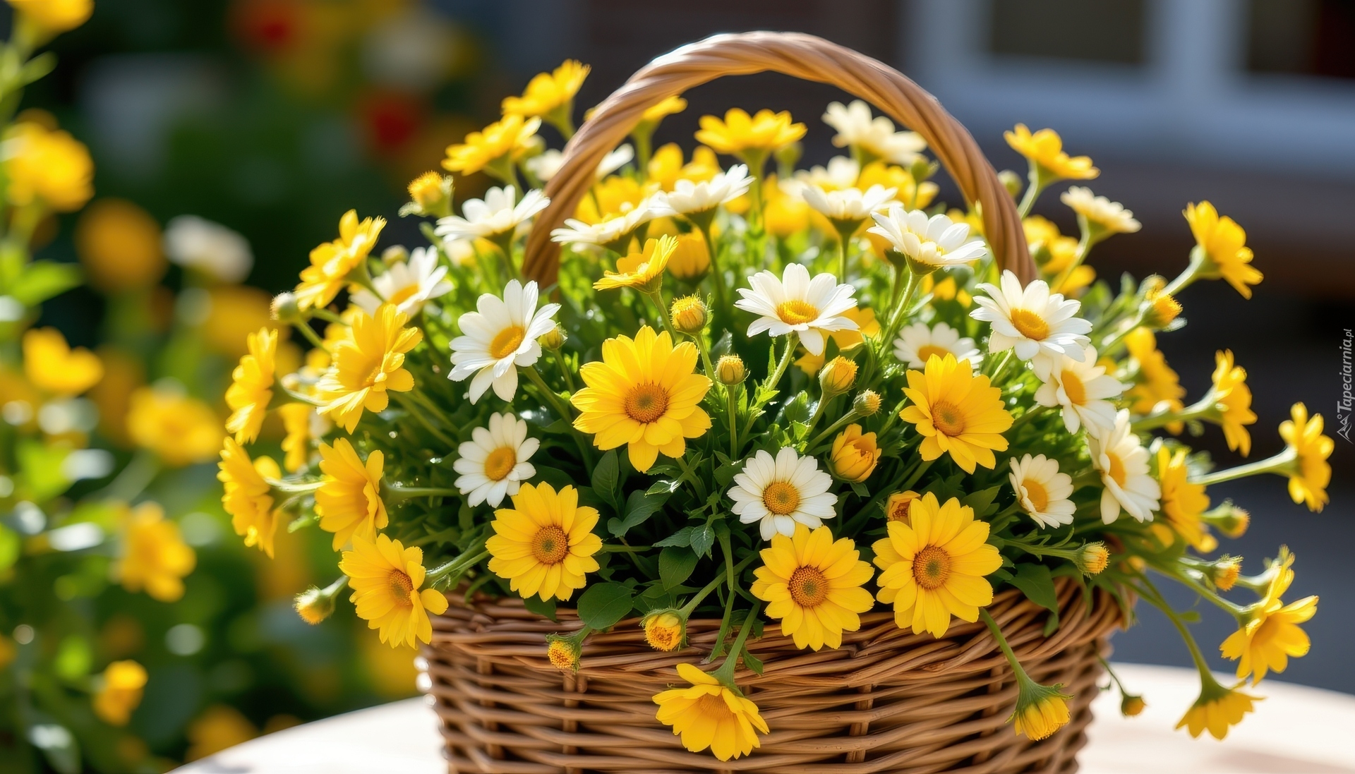 Żółte, Białe, Kwiaty, Listki, Wiklinowy, Koszyk