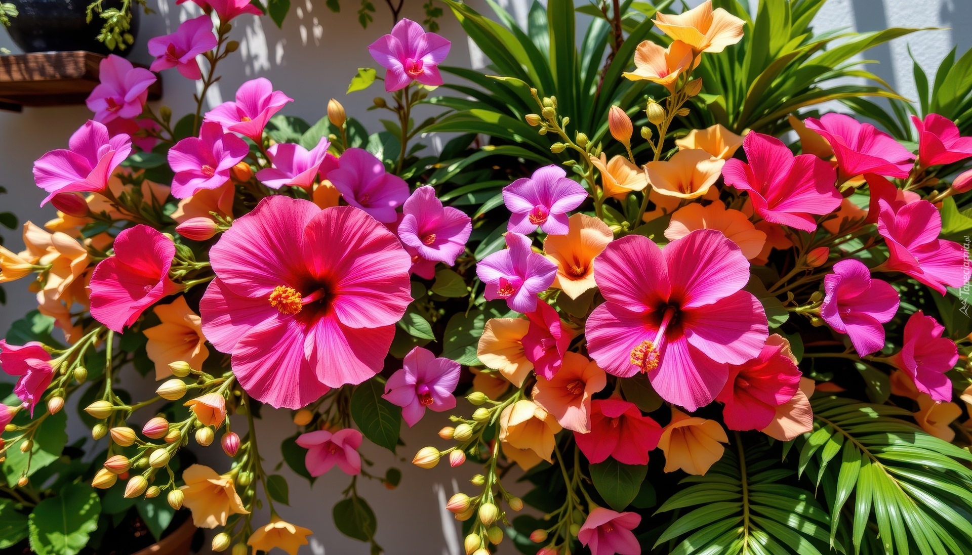 Kwiaty, Hibiskus, Grafika AI