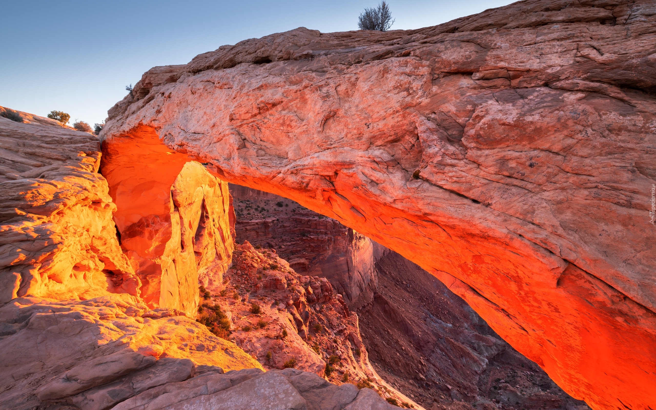 Park Narodowy Canyonlands, Skała, Mesa Arch, Stan Utah, Stany Zjednoczone