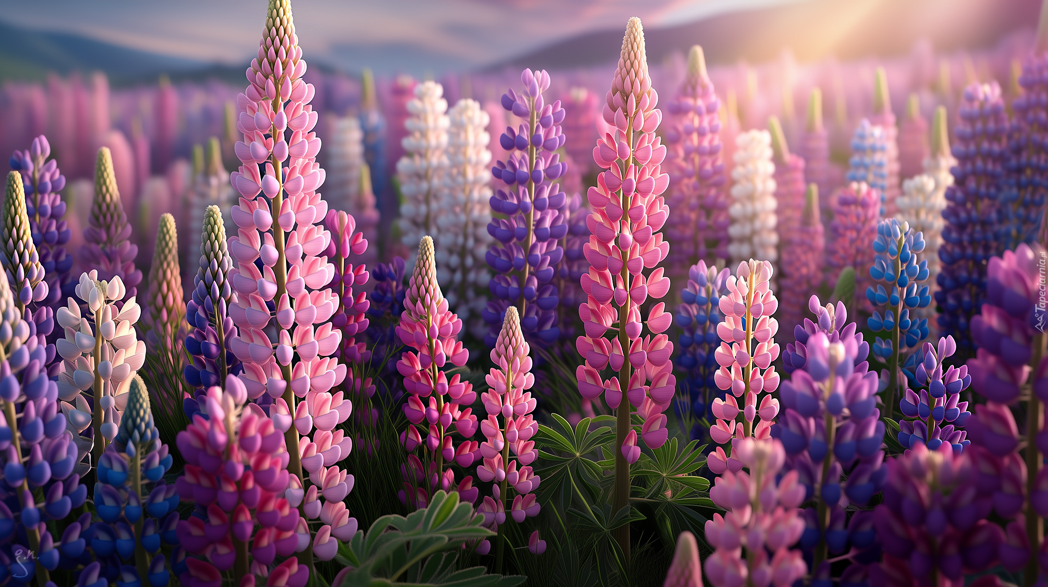 Kolorowe, Kwiaty, Łubin, Grafika AI