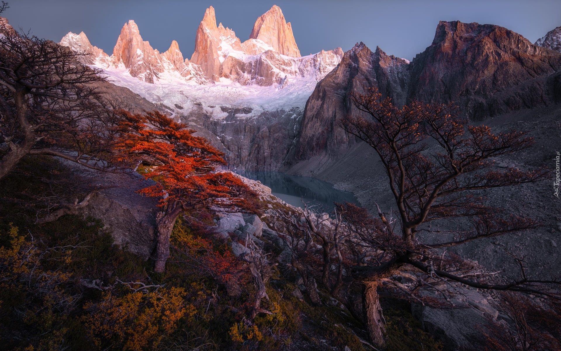 Argentyna, Patagonia, Ośnieżone, Góry, Szczyt Fitz Roy, Jezioro, Drzewa