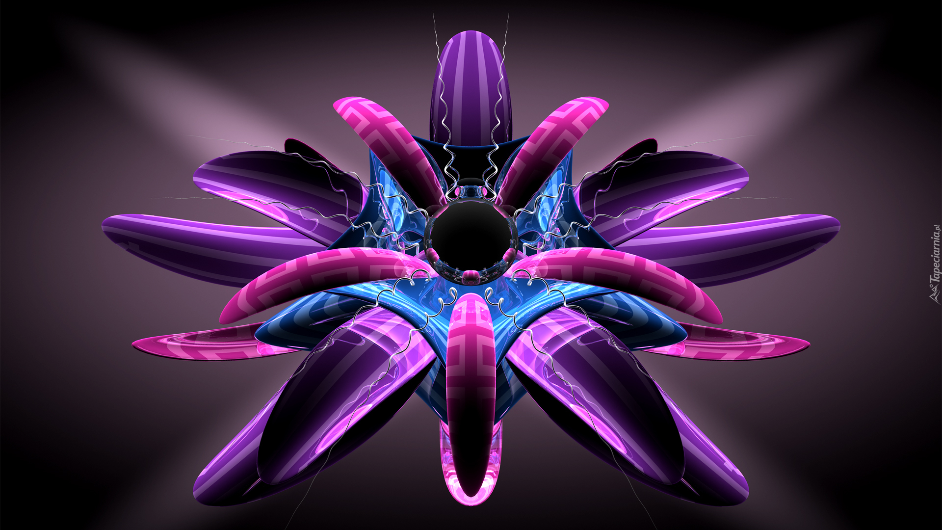 Grafika 3D, Fioletowy, Kwiat