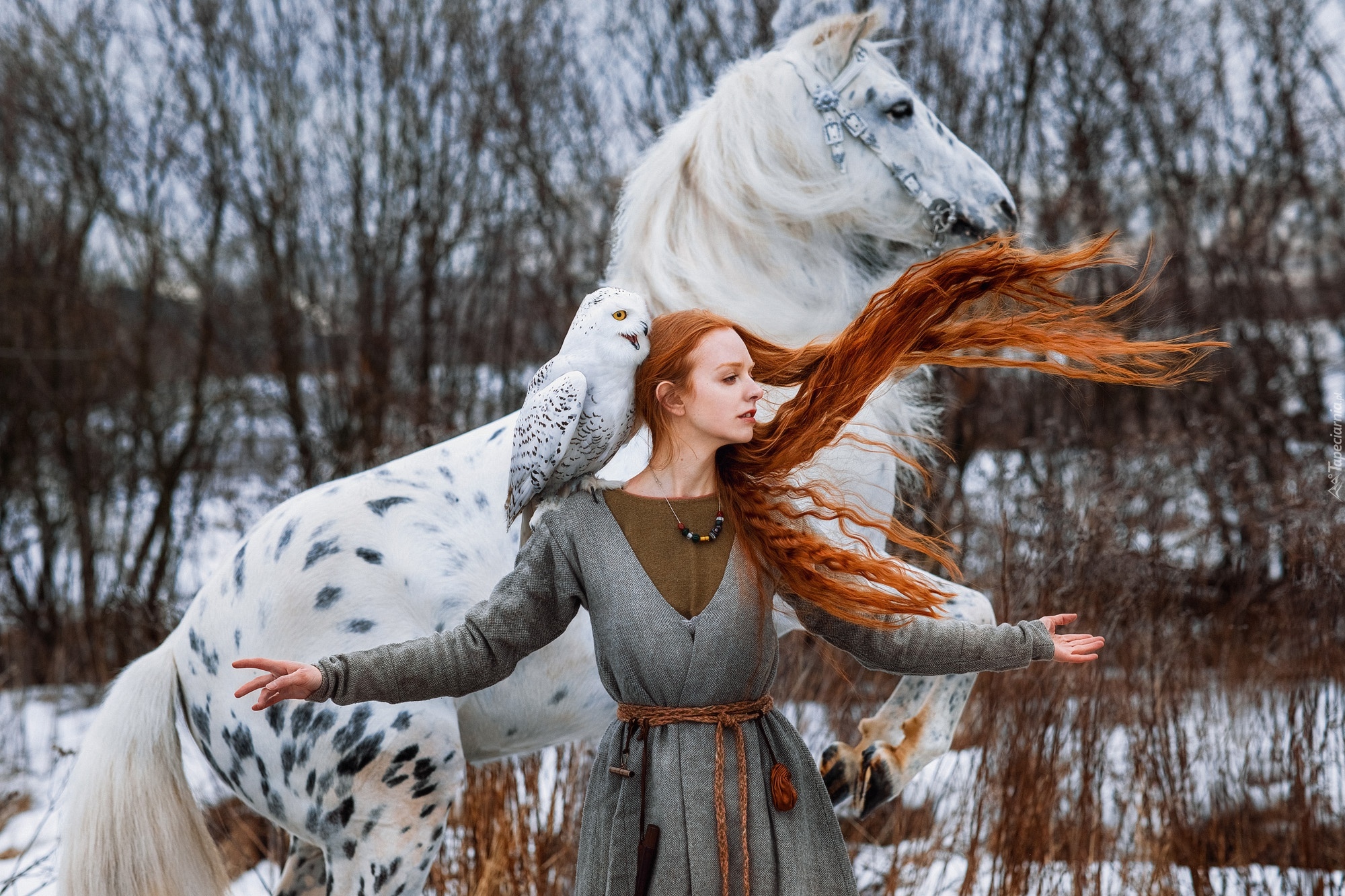 Rudowłosa, Kobieta, Sowa śnieżna, Koń