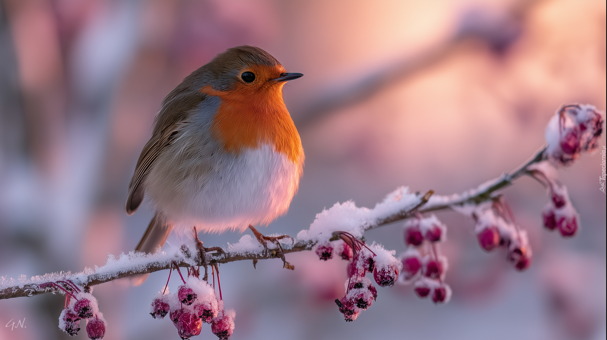 Rudzik, Ptak, Ośnieżona, Gałązka, Grafika AI