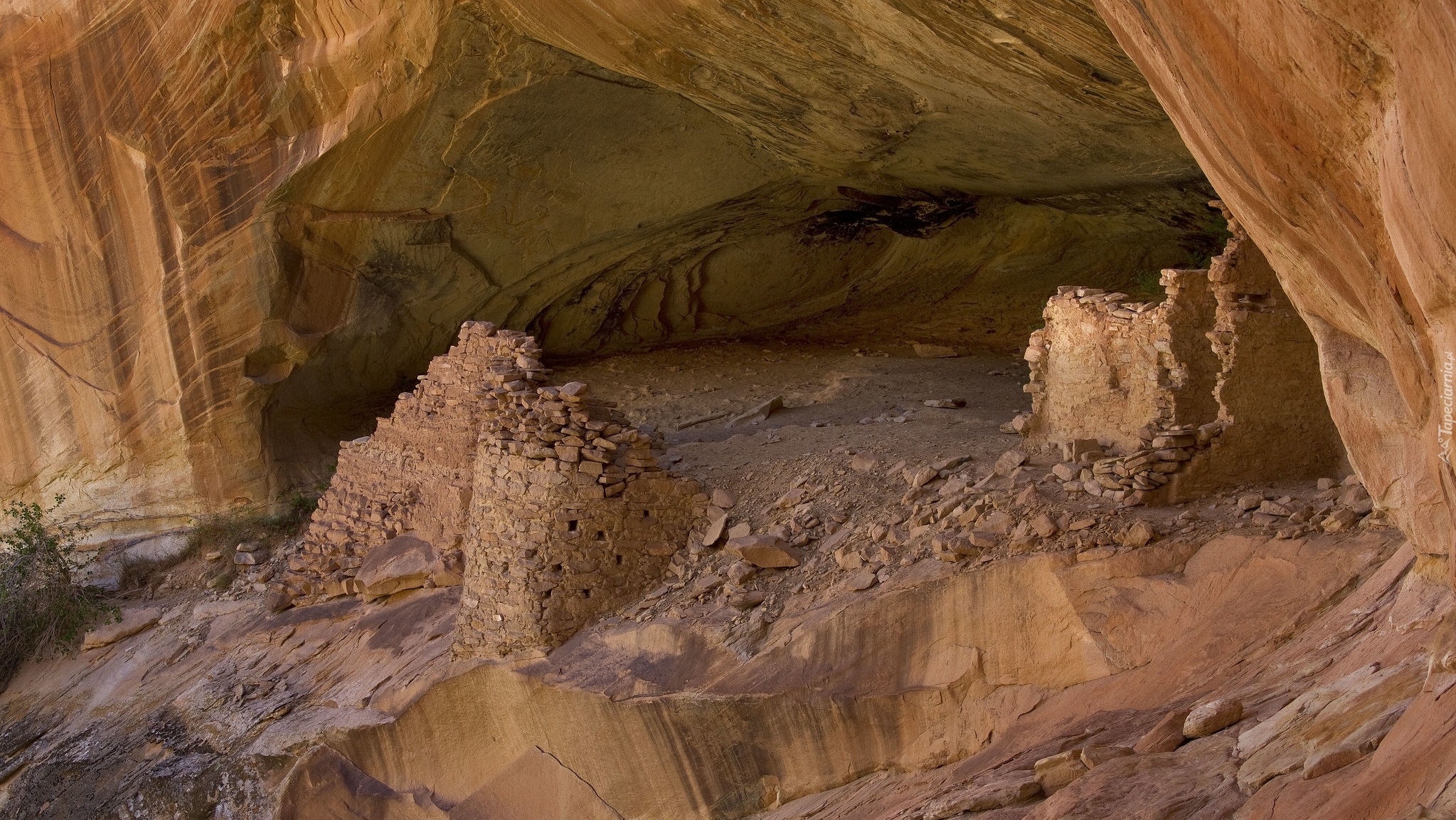 Skała, Comb Ridge, Ruiny Butler Wash, Utah, Stany Zjednoczone