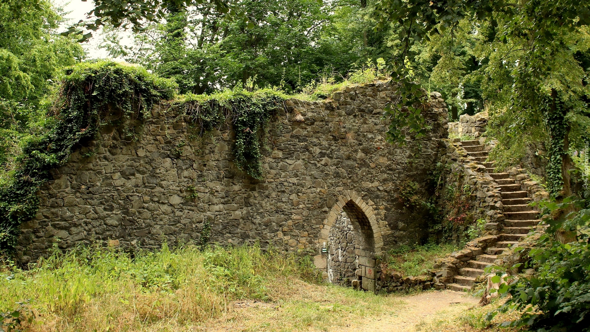 Ruiny, Schody, Wejście, Kamienny, Mur, Pnącza, Trawa, Krzewy