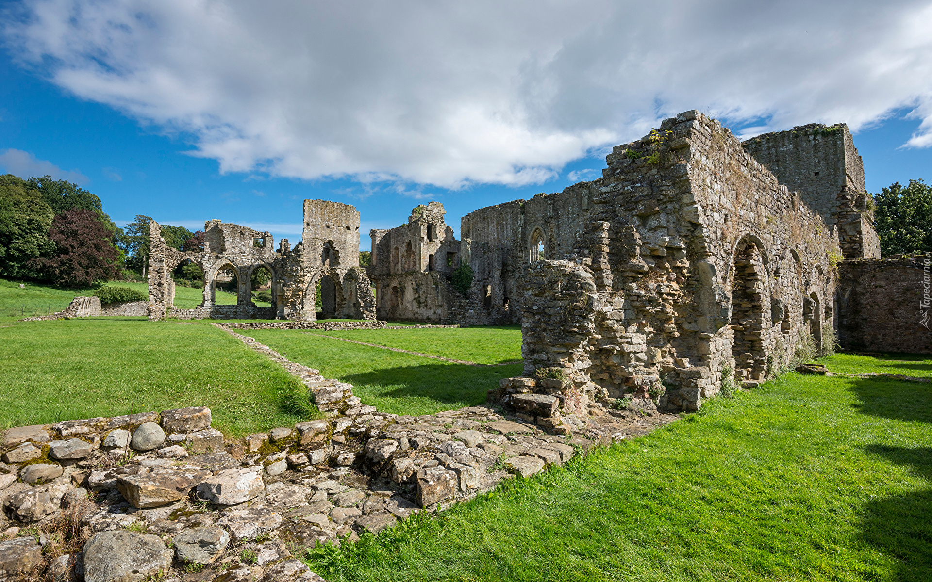 Anglia, Richmondshire, Ruiny, Opactwo, Easby Abbey