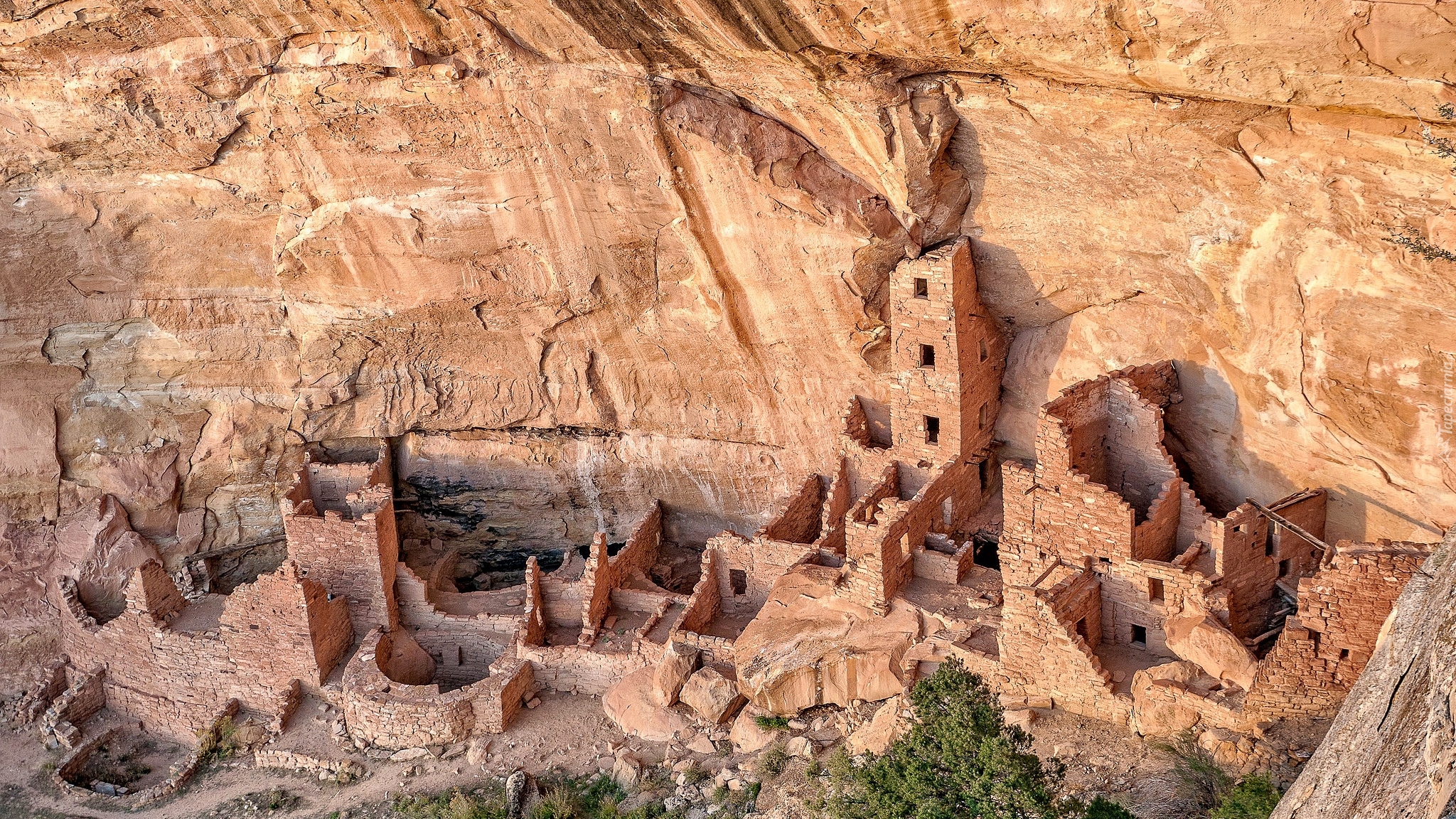 Stany Zjednoczone, Stan Kolorado, Park Narodowy Mesa Verde, Skały, Ruiny osiedla klifowego, Pałac Klifowy, Zabytek