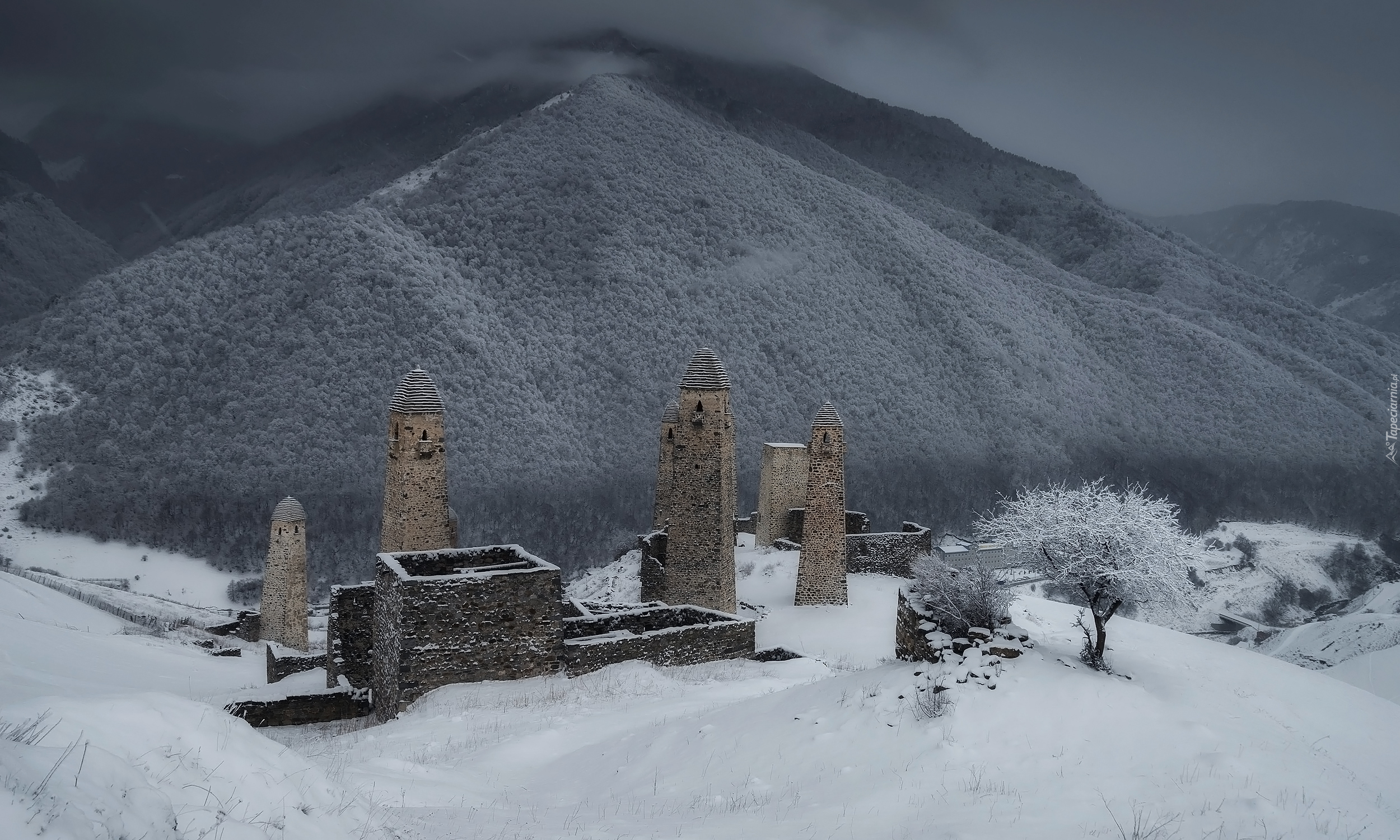 Zima, Góry, Kaukaz, Budowle, Ruiny, Wieże obronne, Drzewo, Drzewa, Erzi, Republika Inguszetii, Rosja