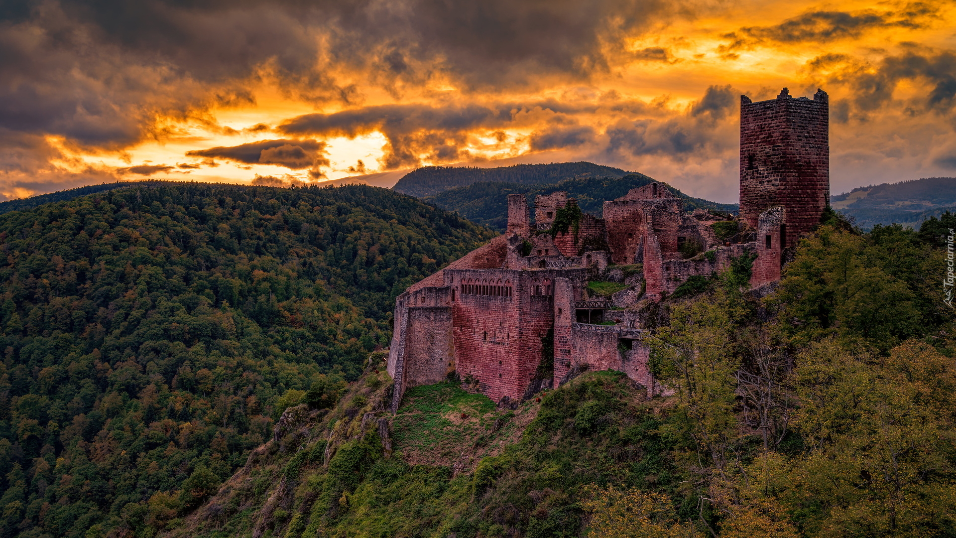 Ruiny, Zamek, Castle Saint-Ulrich, Góry, Lasy, Zachód słońca, Chmury, Ribeauville, Francja