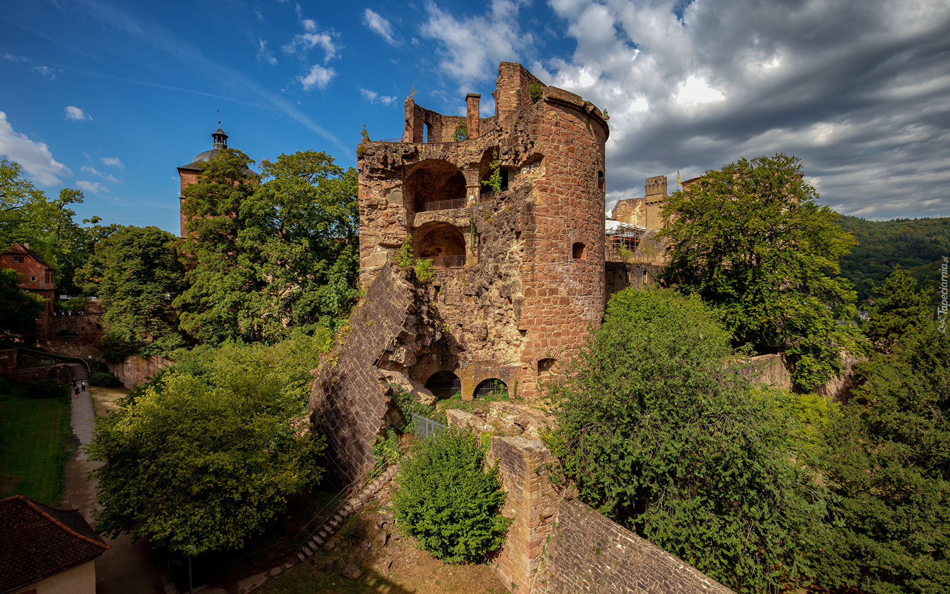 Niemcy, Heidelberg, Zamek, Ruiny, Wieża, Drzewa