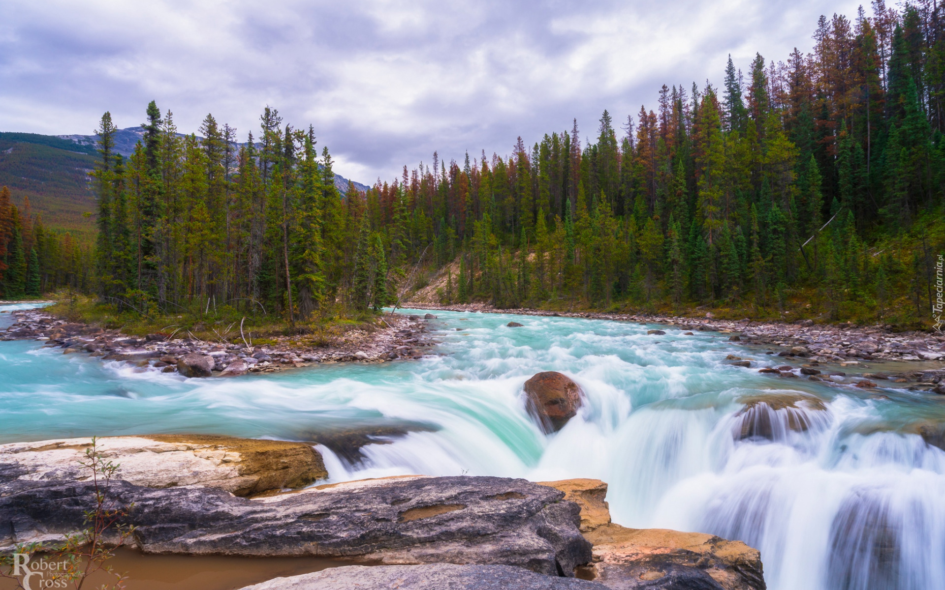 Park Narodowy Jasper, Las, Drzewa, Góry, Rzeka, Sunwapta River, Kamienie, Wodospad, Sunwapta Falls, Skały, Chmury, Alberta, Kanada