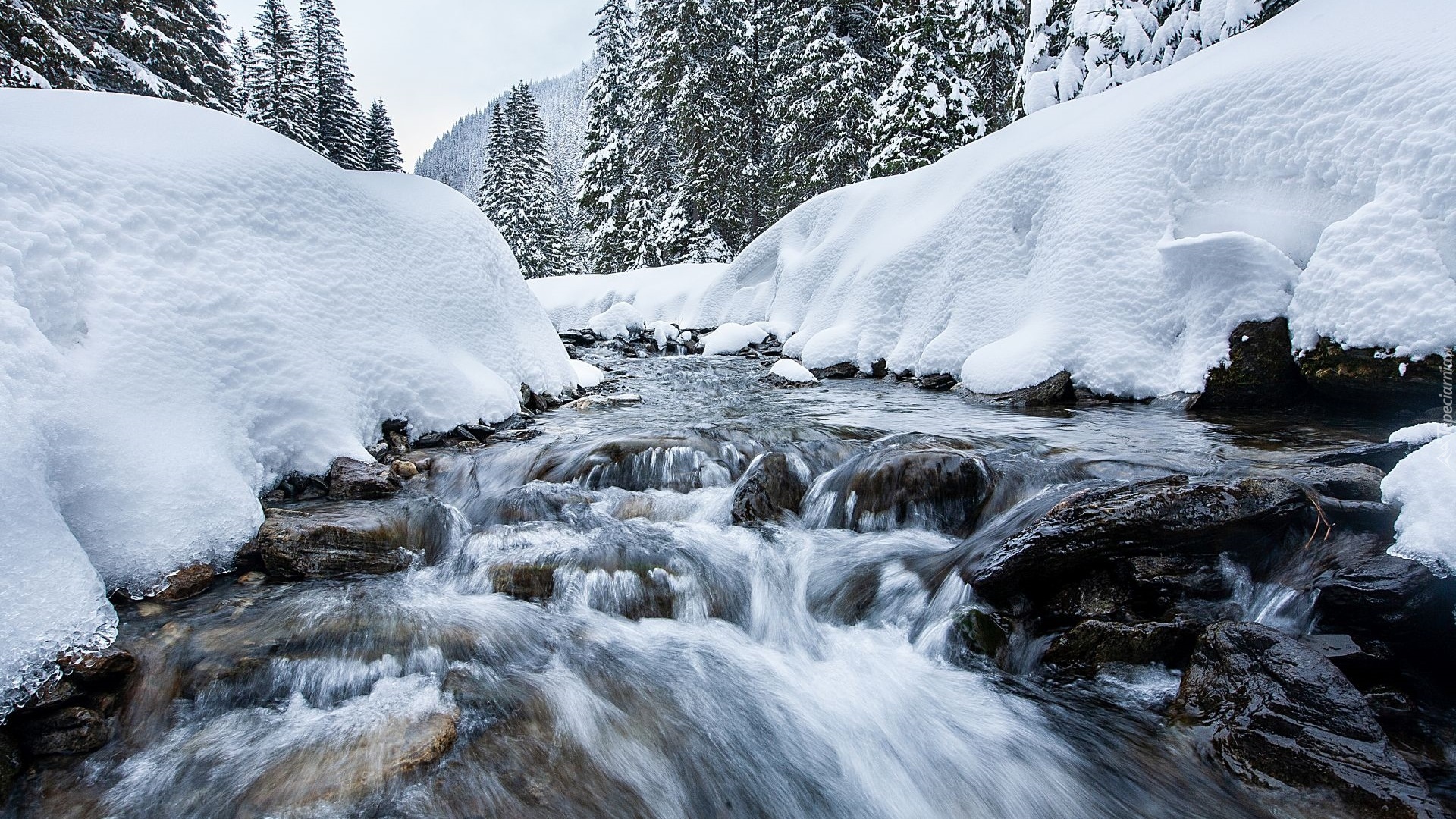 Zima, Las, Rwąca, Rzeka, Kamienie, Śnieg, Zaspy, Drzewa