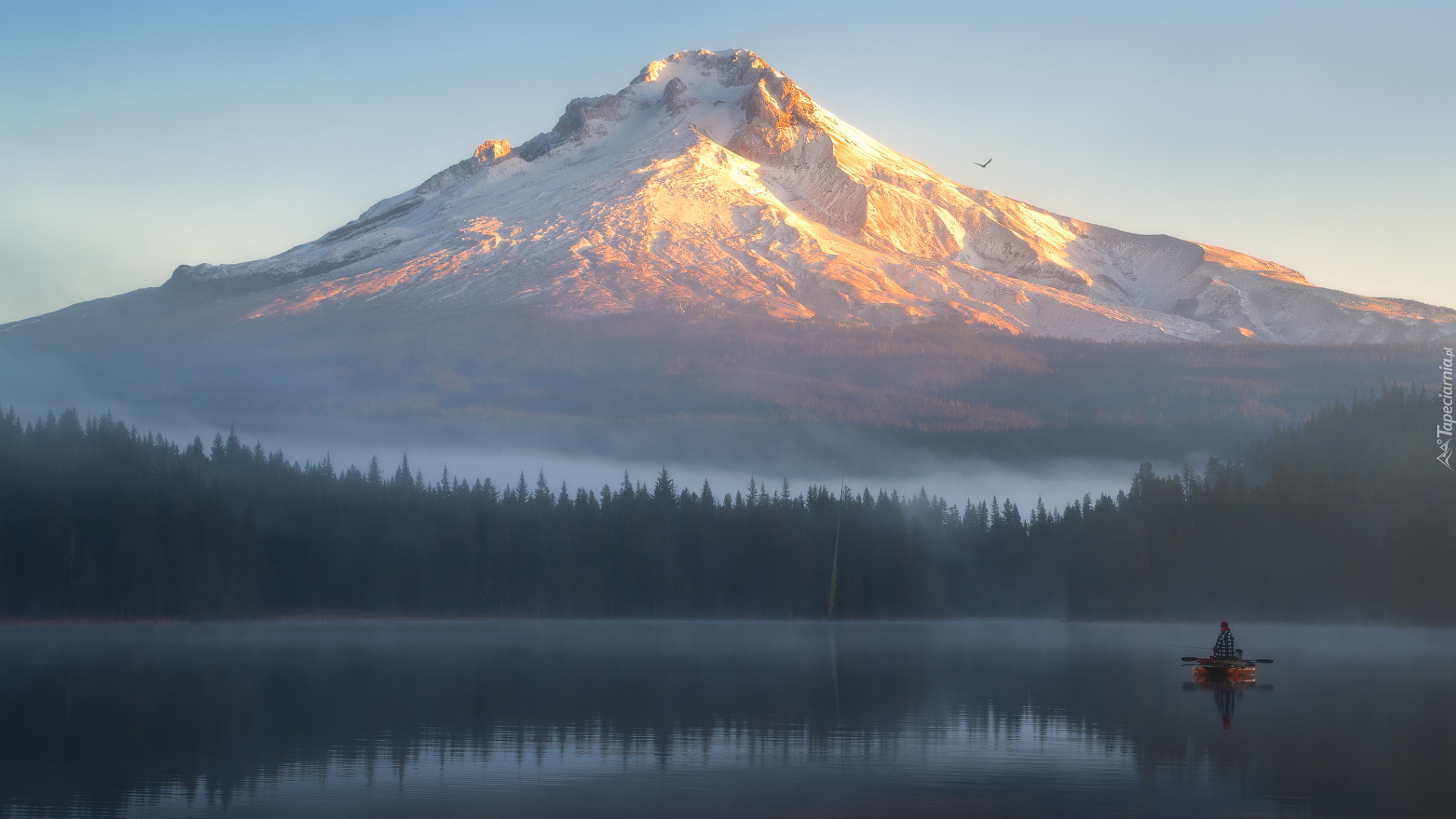 Stratowulkan, Góra, Mount Hood, Lasy, Mgła, Poranek, Jezioro, Rybak, Łódka, Stan Oregon, Stany Zjednoczone