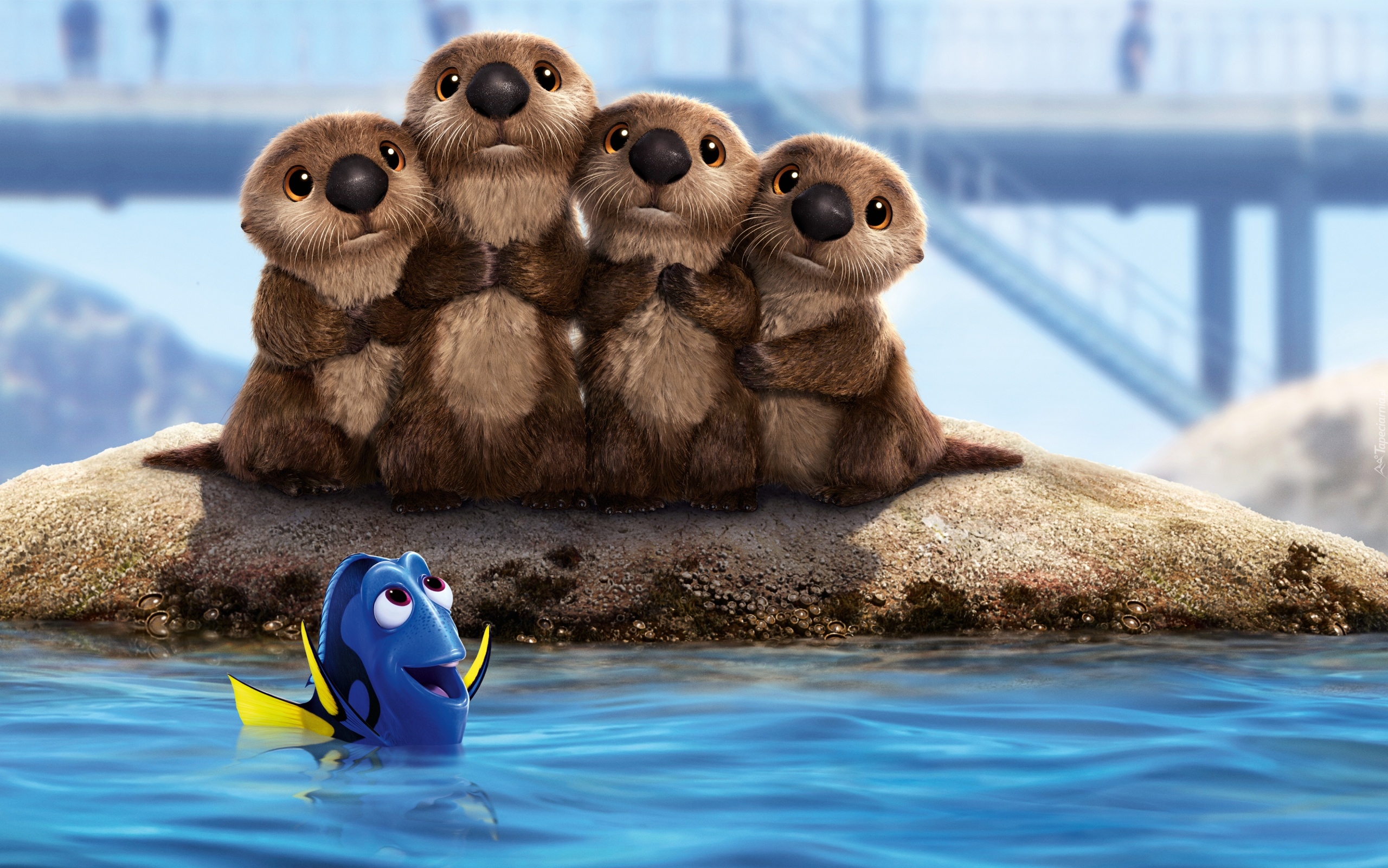 Film animowany, Bajka, Gdzie jest Dory, Finding Dory, Cztery, Wydry, Rybka Dory