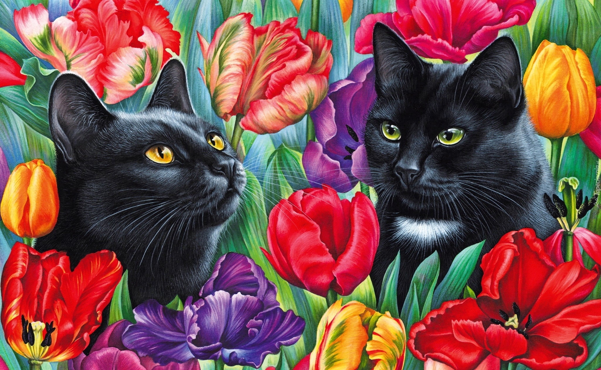 Czarne, Koty, Tulipany, Rysunek
