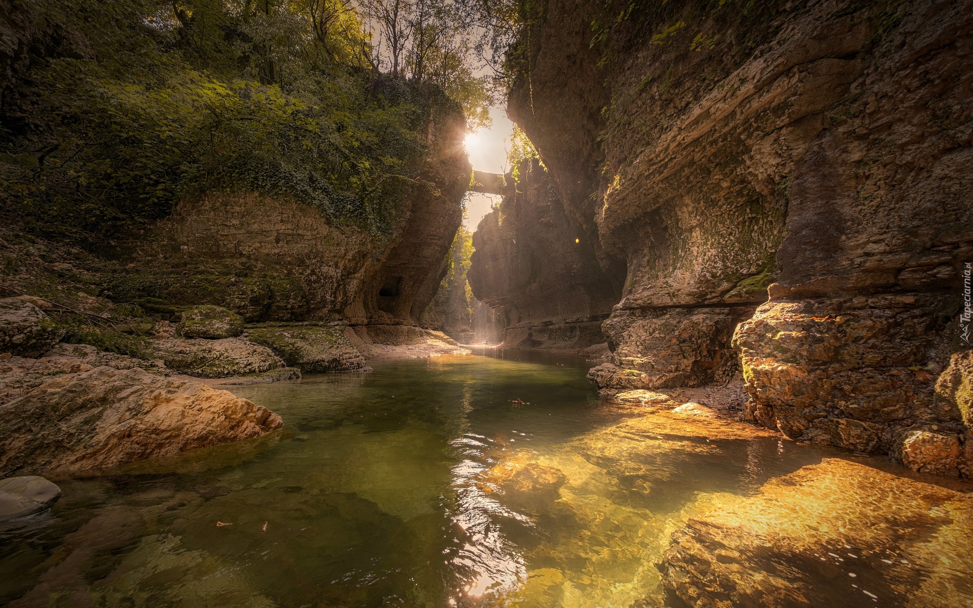 Gruzja, Skały, Wąwóz, Kanion, Martvili Canyon, Rzeka Abasza, Przebijające światło, Drzewa