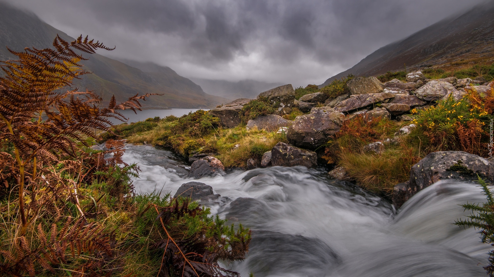 Wielka Brytania, Walia, Rzeka Afon Ogwen, Rzeka, Góry, Kamienie, Paprocie, Mgła