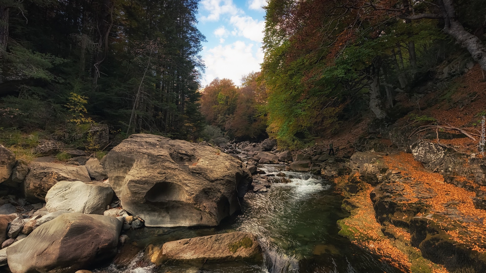 Rzeka, Ara Rio, Kamienie, Skarpy, Drzewa, Park Narodowy Ordesa y Monte Perdido, Hiszpania