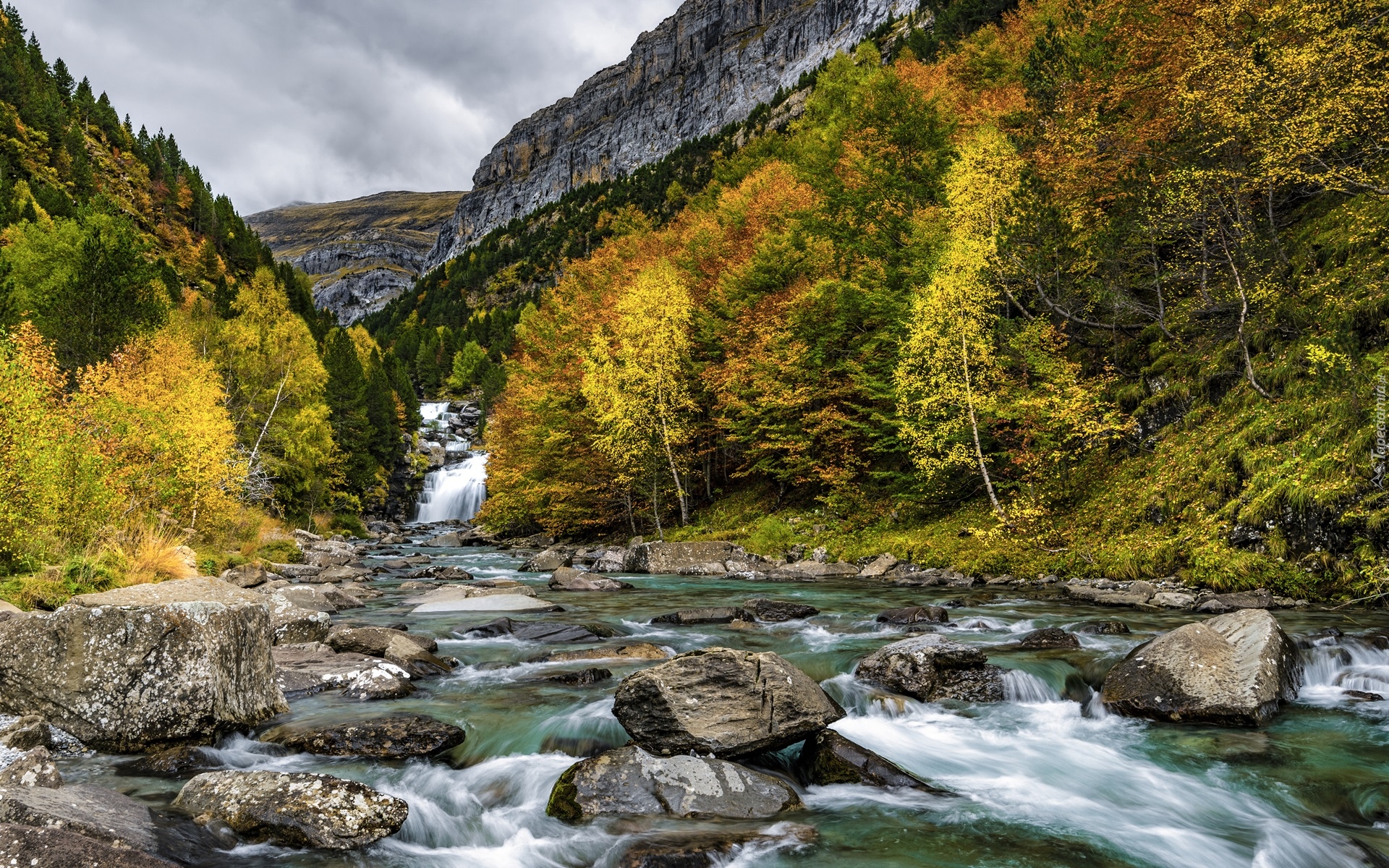 Rzeka, Arazas River, Kamienie, Drzewa, Góry, Pireneje, Jesień, Prowincja Huesca, Hiszpania