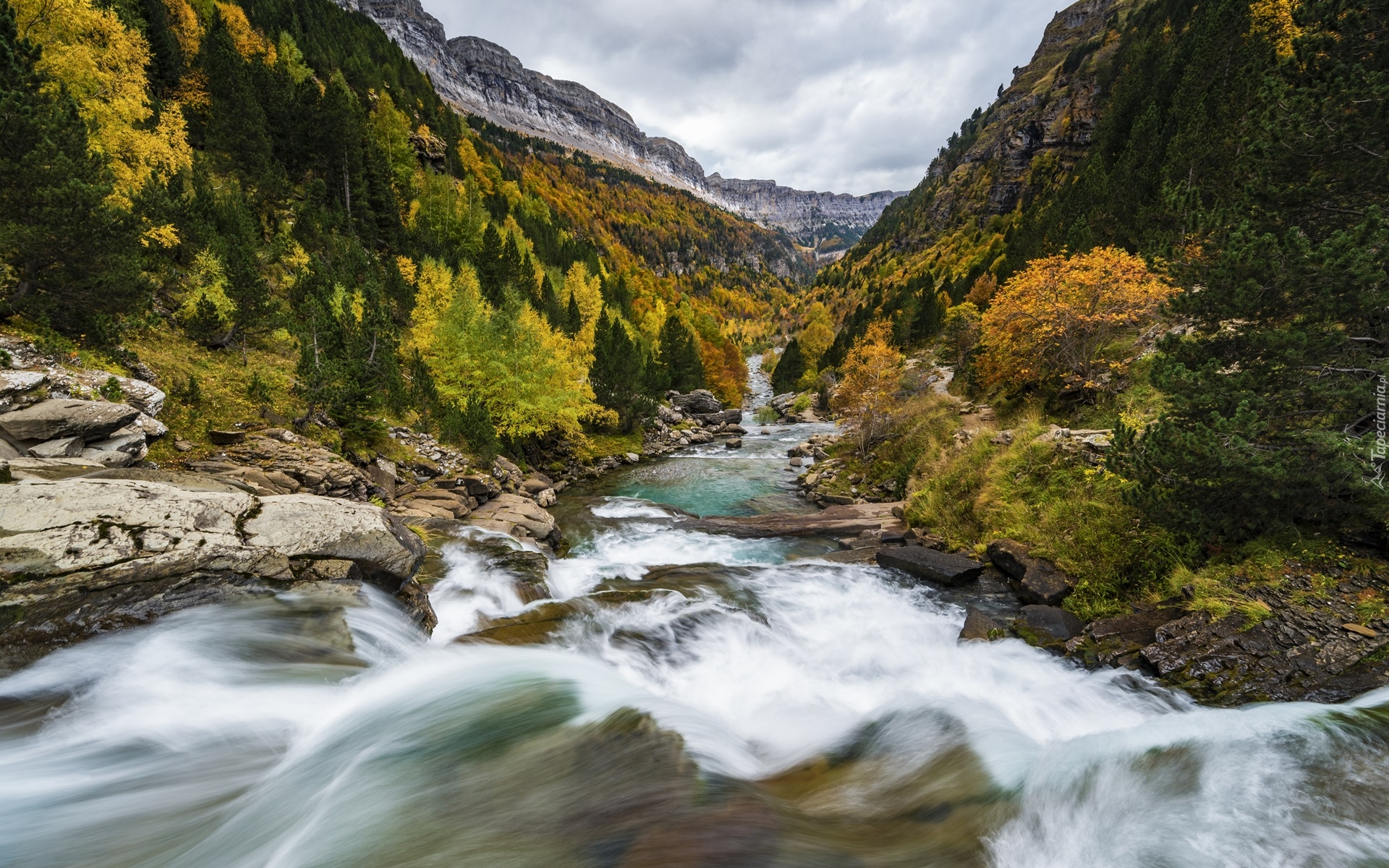 Rzeka, Arazas River, Drzewa, Kamienie, Góry, Pireneje, Jesień, Prowincja Huesca, Hiszpania