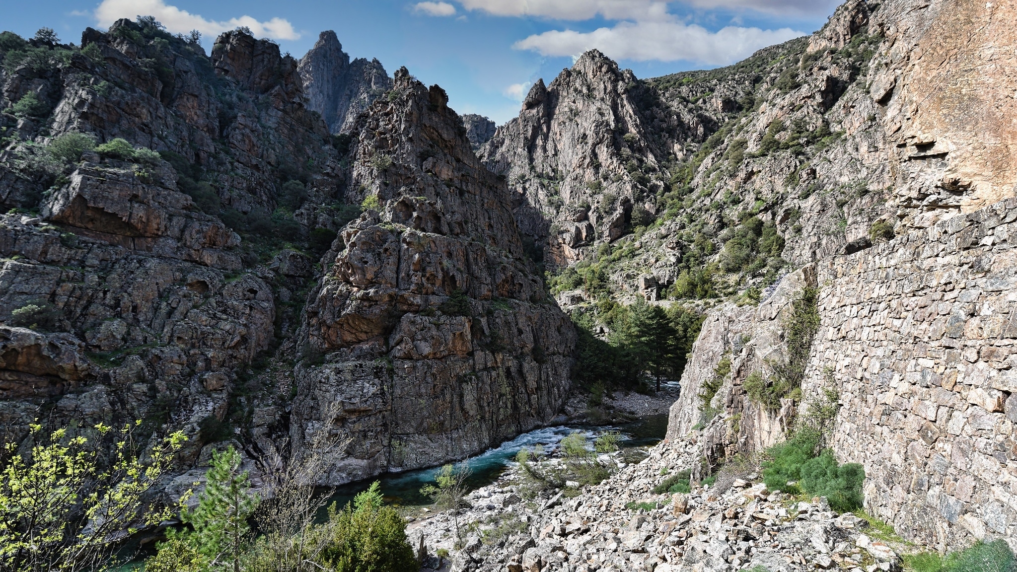 Góry, Skały, Rzeka Asco, Krzewy, Wąwóz Asco, Korsyka, Francja