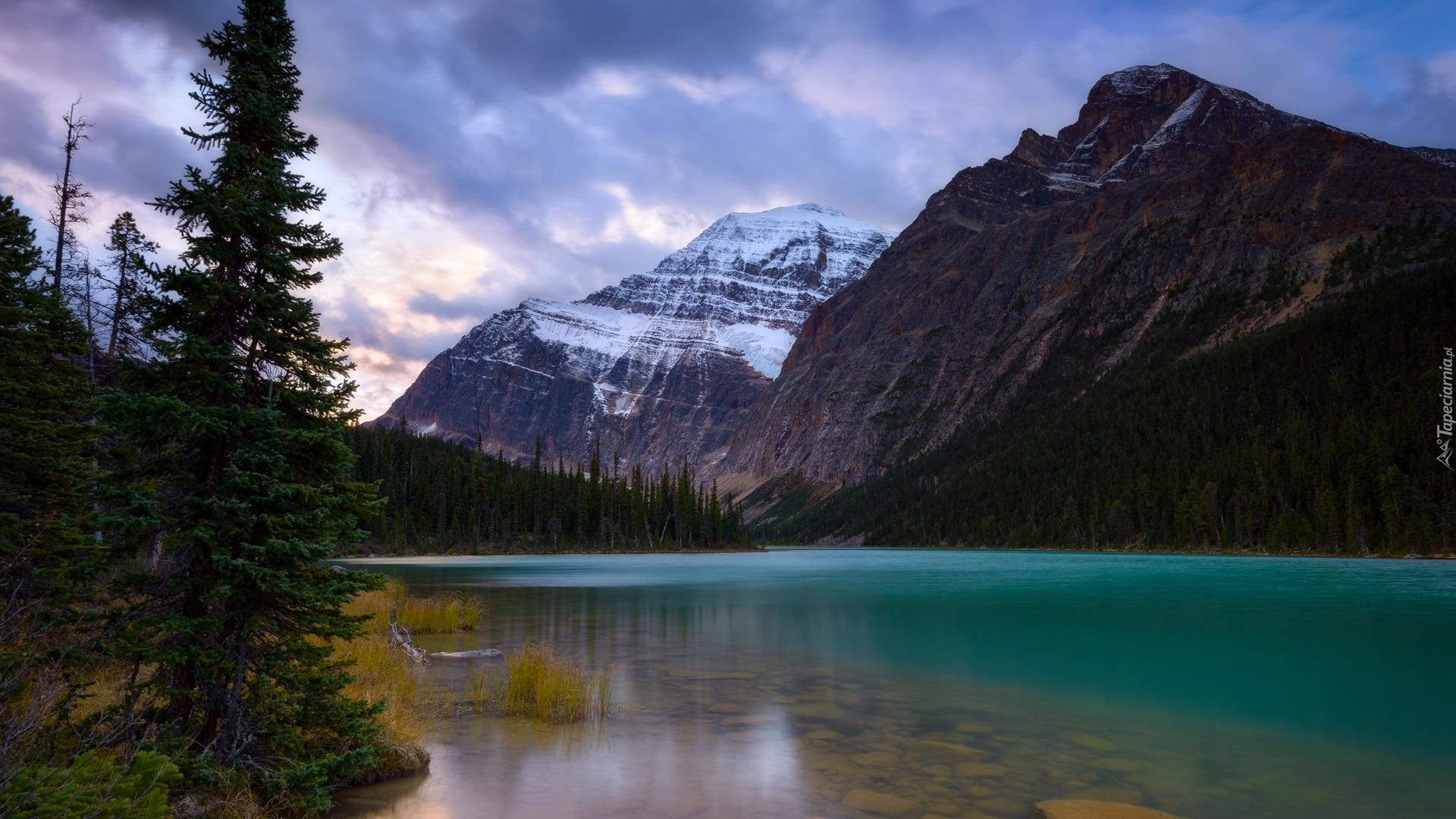 Góry, Góra, Mount Edith Cavell, Las, Drzewa, Chmury, Park Narodowy Jasper, Jezioro, Alberta, Kanada