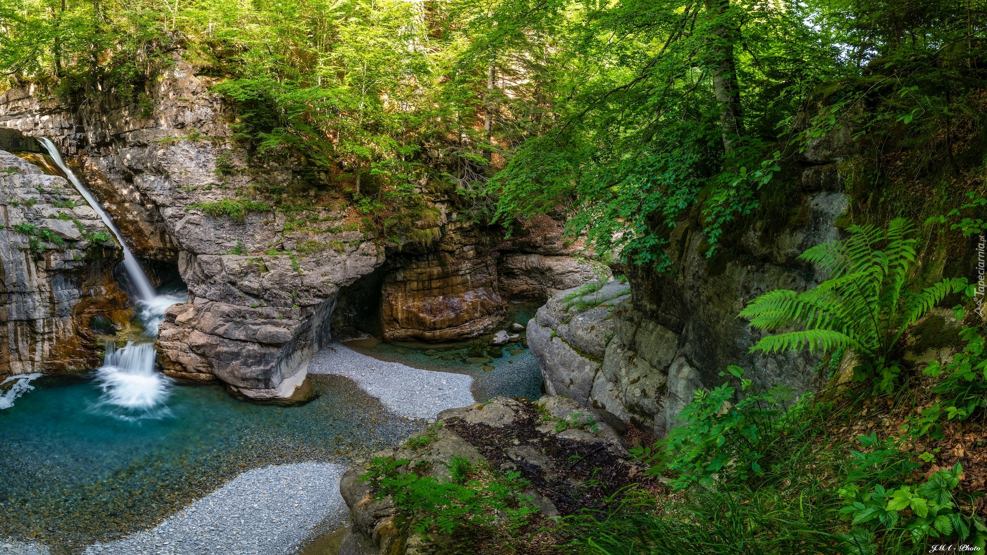 Hiszpania, Aragonia, Park Narodowy Ordesa y Monte Perdido, Drzewa, Skały, Kanion de Anisclo, Rzeka, Bellos River