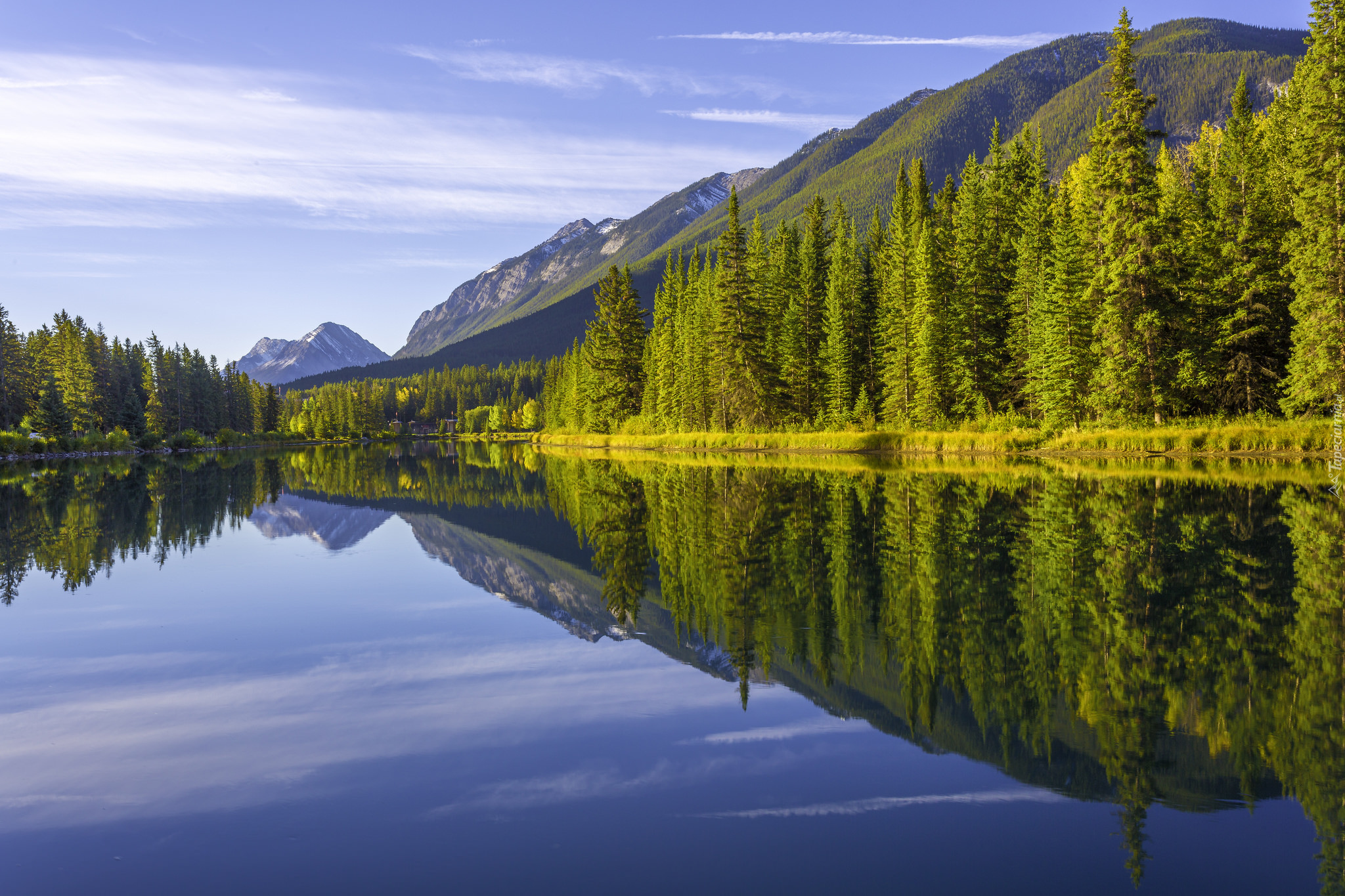 Park Narodowy Banff, Prowincja Alberta, Kanada, Góry, Drzewa, Las, Rzeka, Bow River
