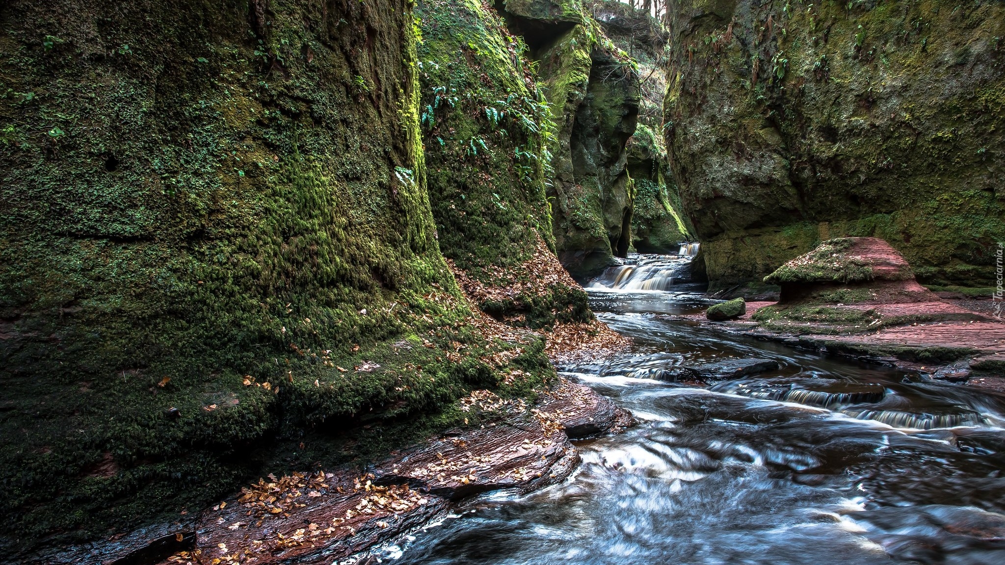 Szkocja, Wąwóz Finnich Glen, Skały, Rzeka, Carnock Burn