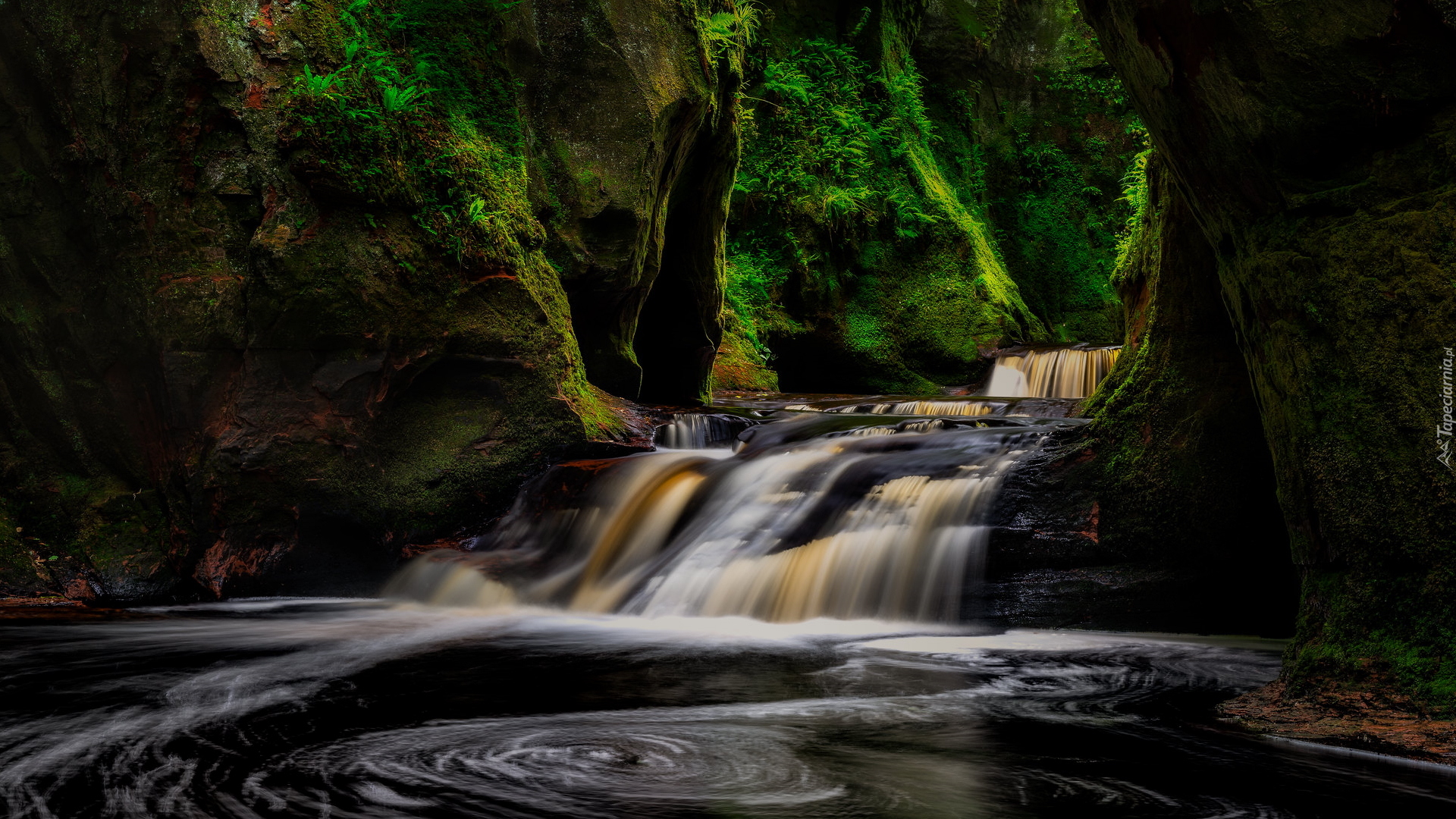 Szkocja, Wąwóz, Finnich Glen, Skały, Rzeka Carnock Burn